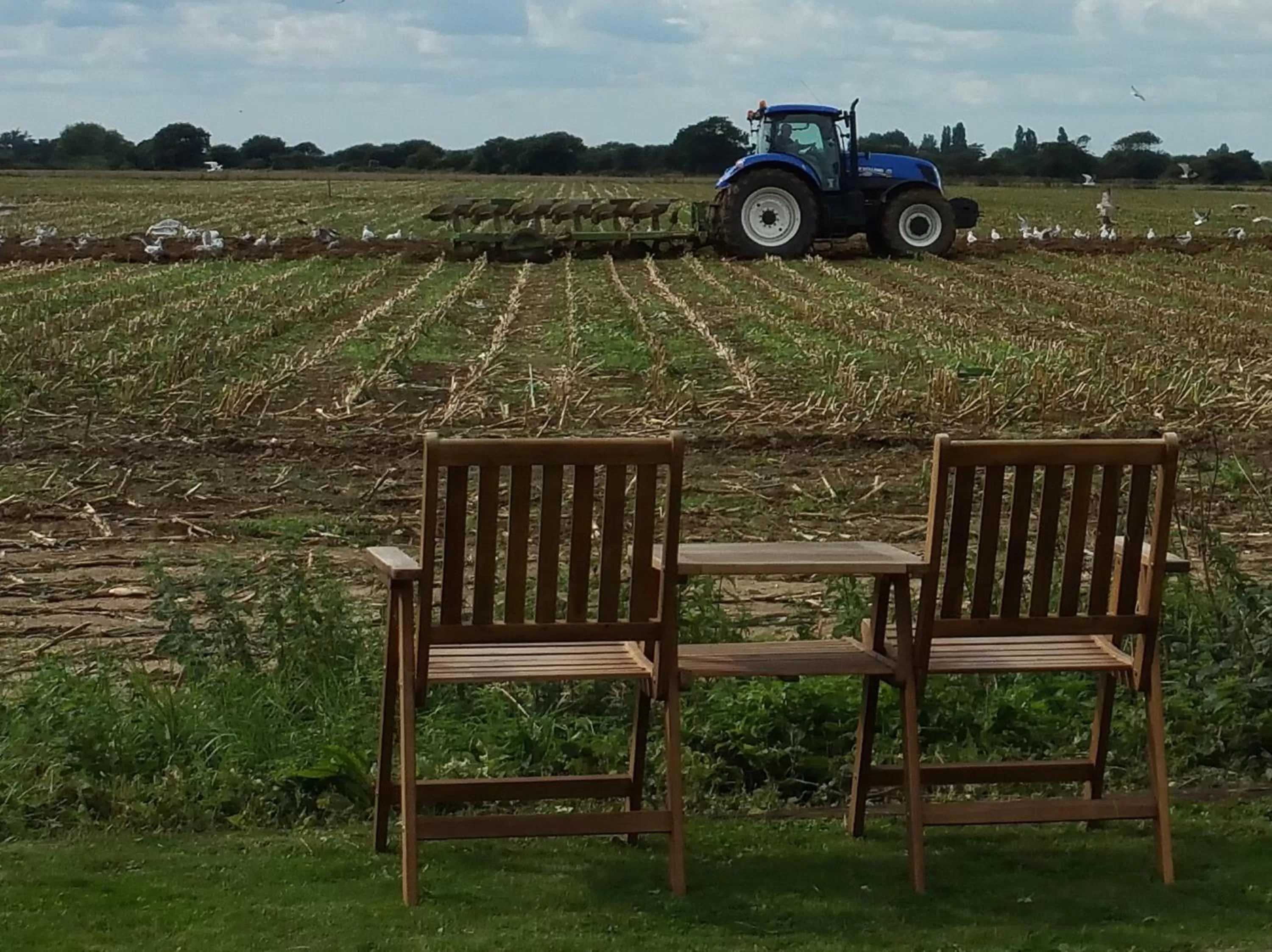 Neighbourhood in Old Chapel Forge