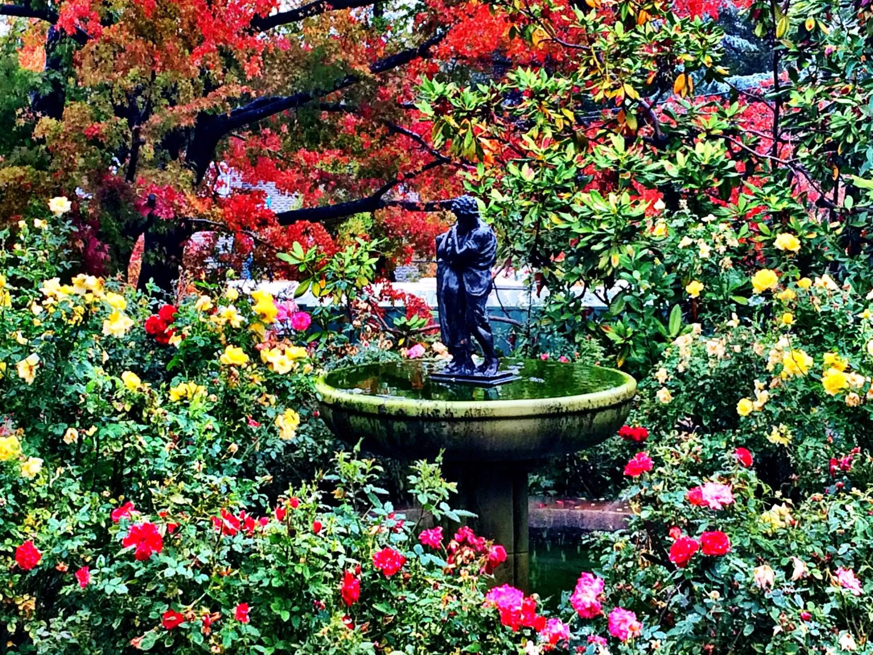 Garden in The Inn on Knowles Hill Bed & Breakfast Hotel