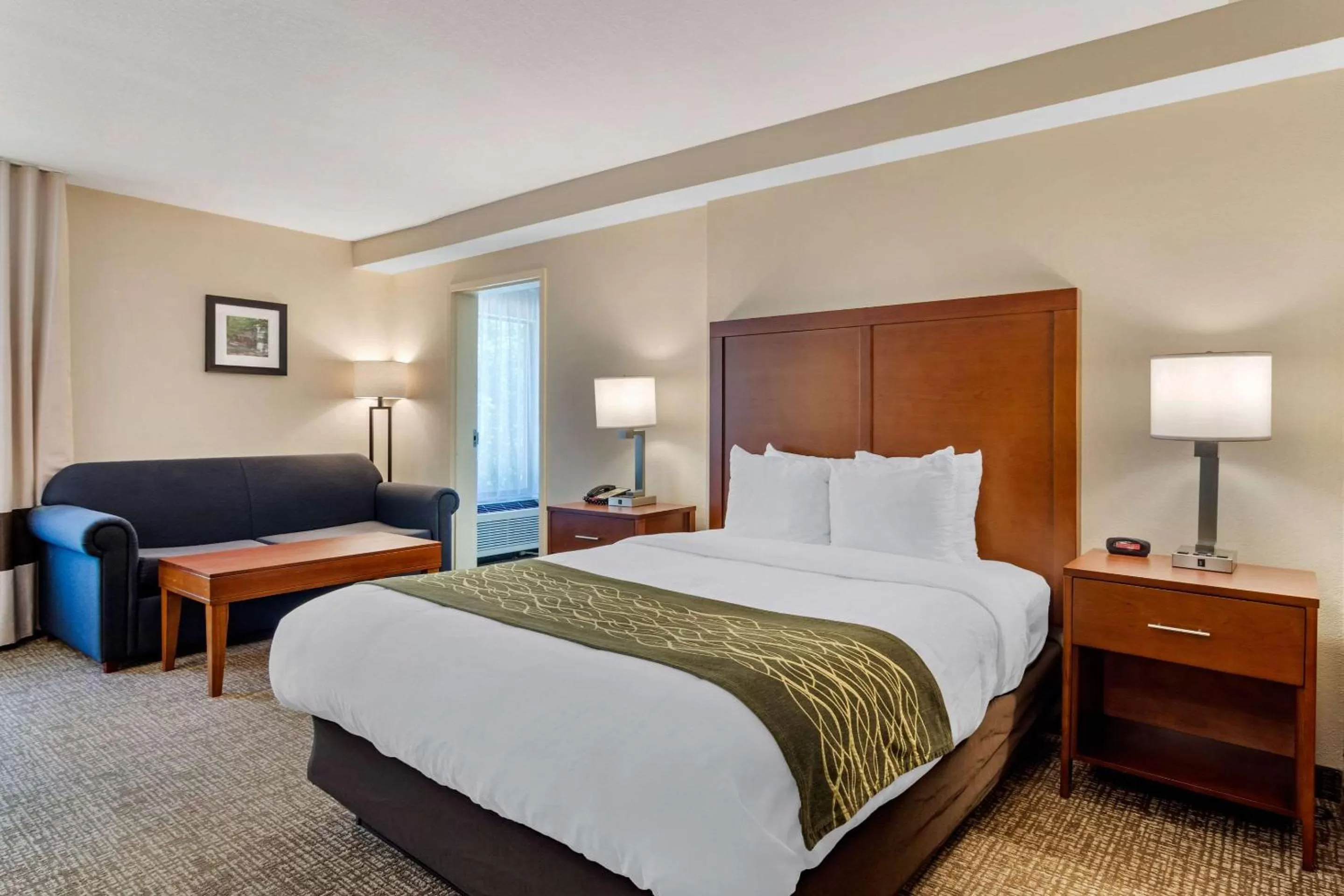 Photo of the whole room, Bed in Comfort Inn Douglasville - Atlanta West