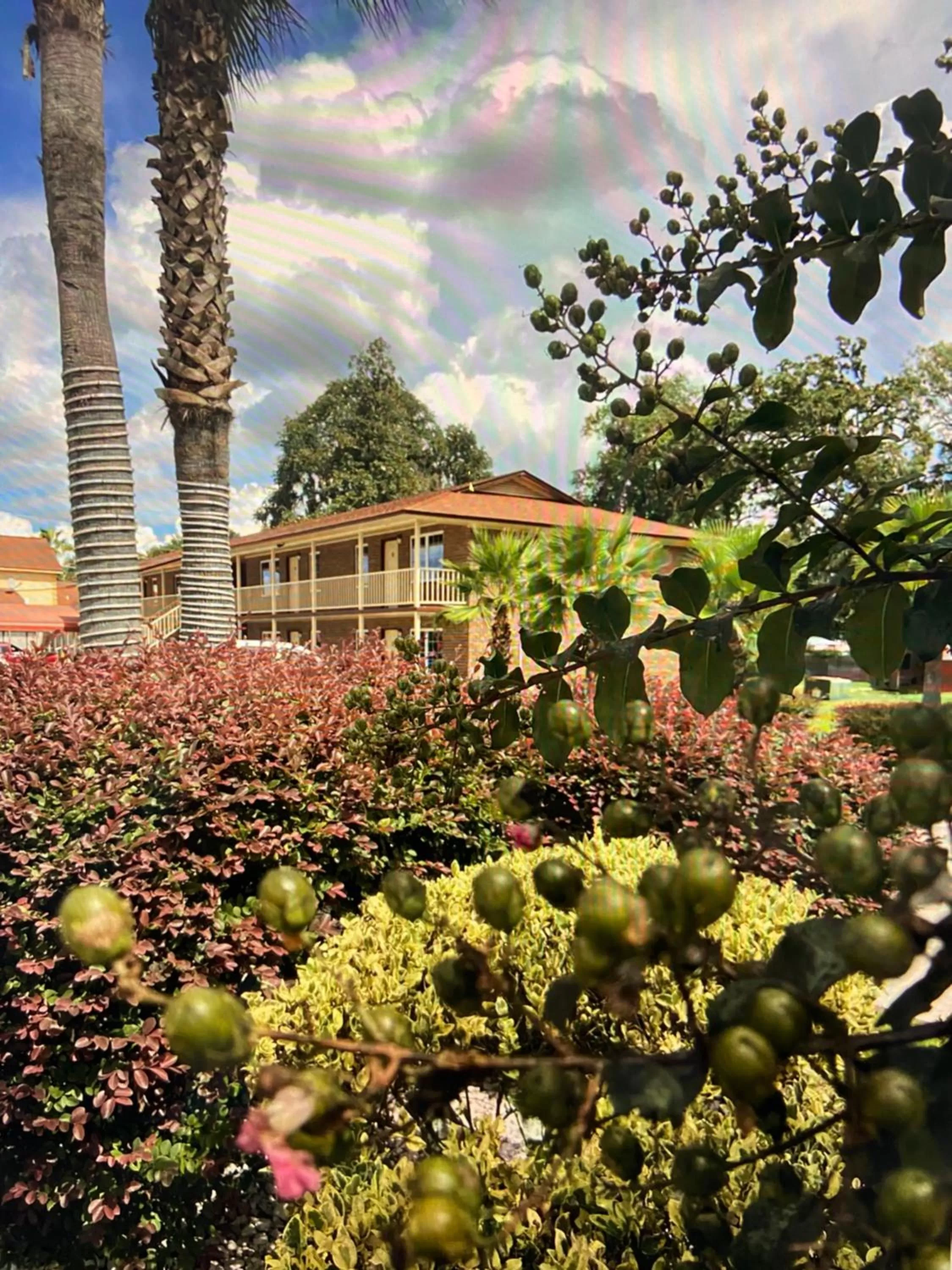 Living room in Savannah Inn and Suites Savannah Port Area