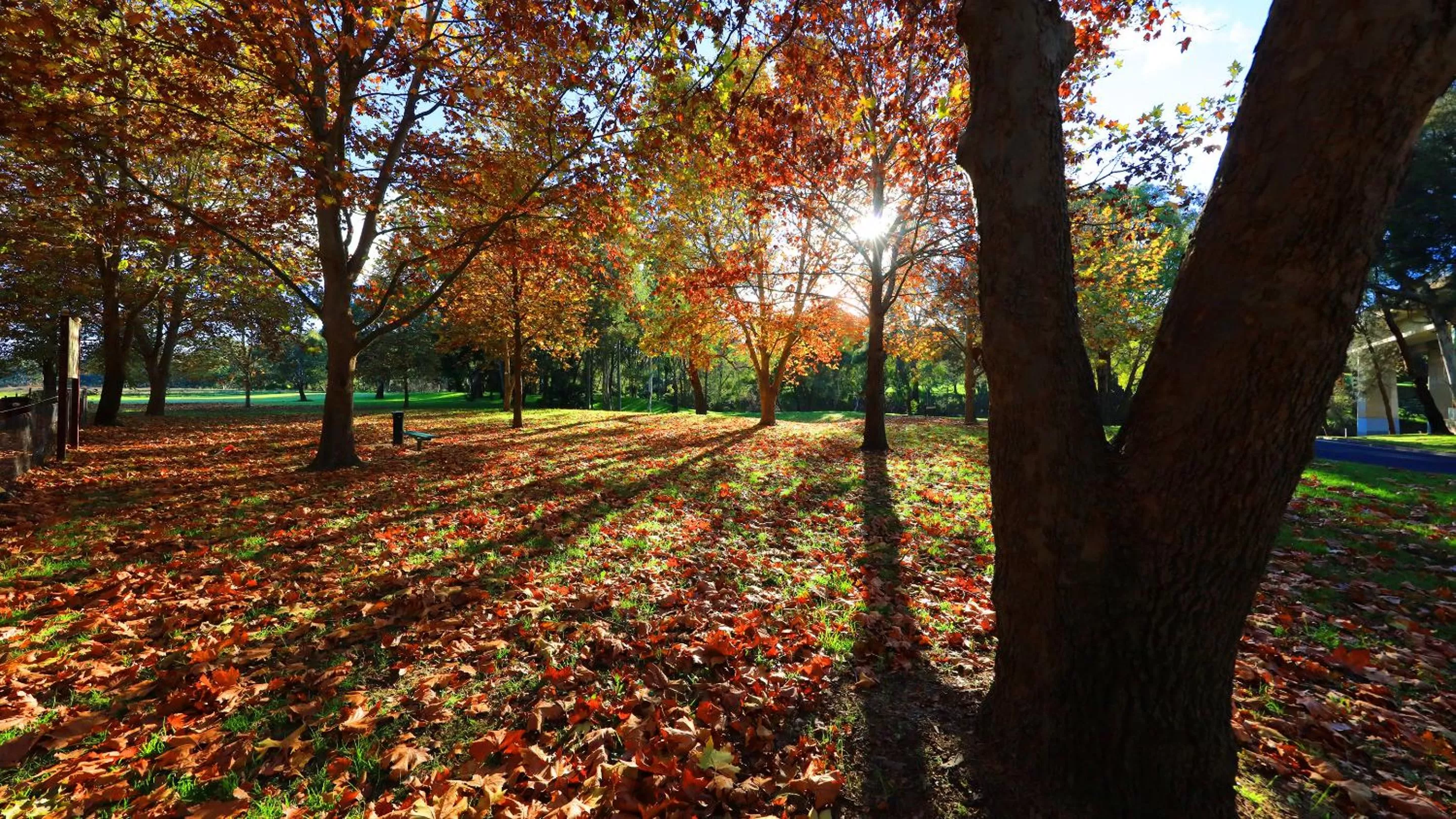 Natural landscape in Cowra Motor Inn