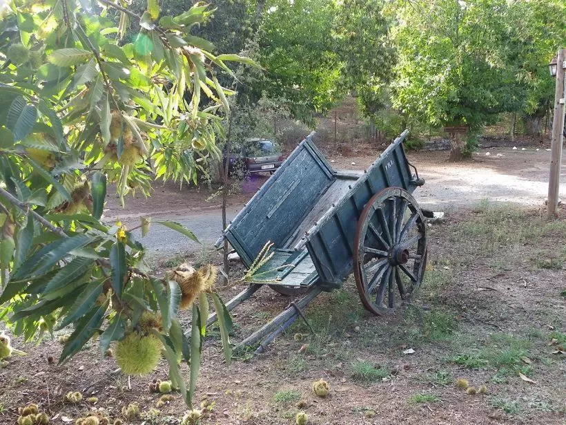 Day in Hotel Apartamento Rural Finca La Media Legua