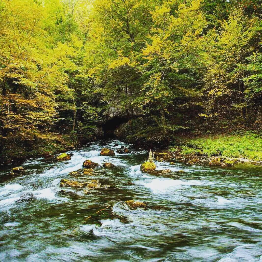 Bed and Breakfast Family Djukic