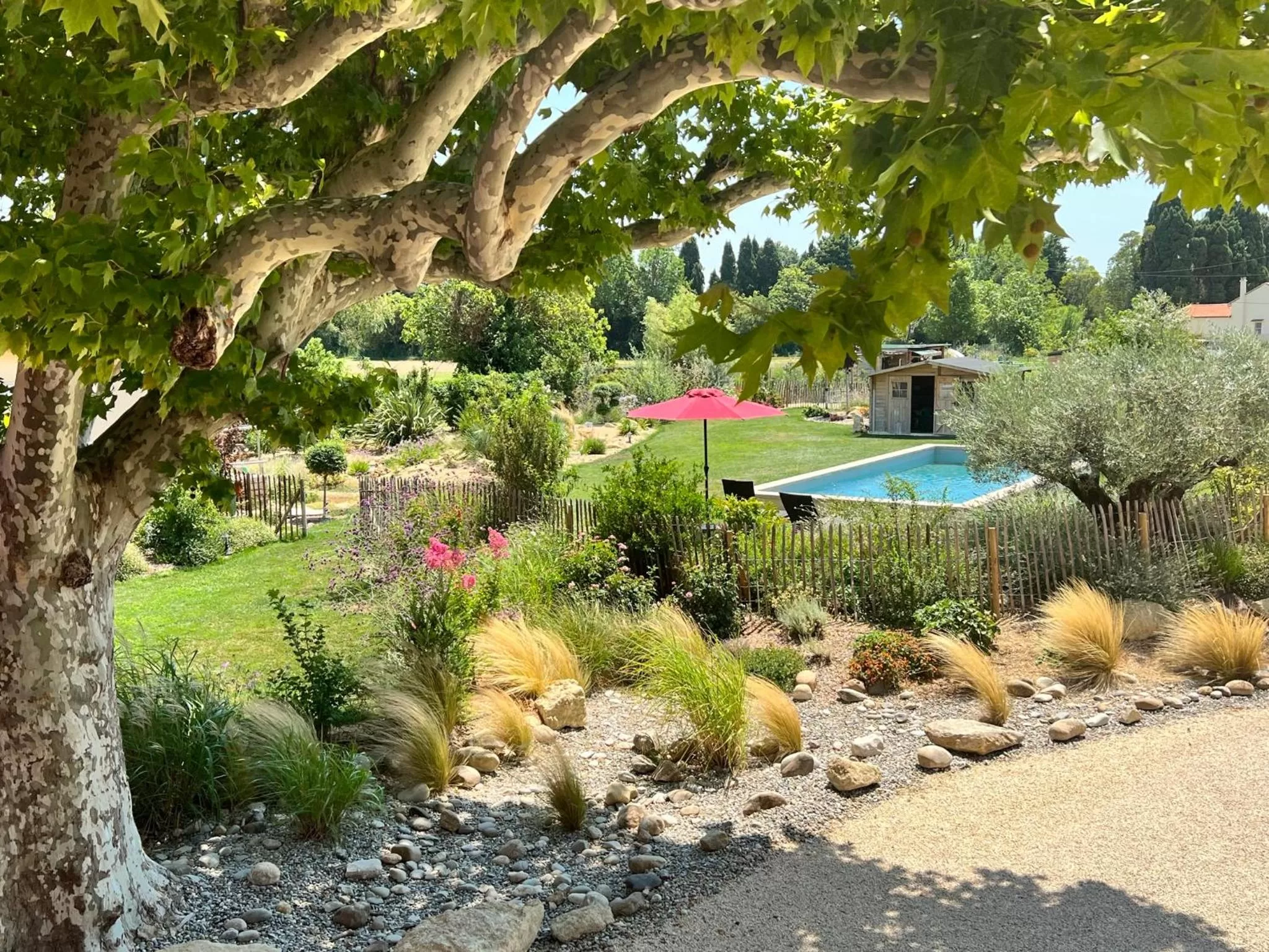 Garden, Pool View in BASTIDE DES MARTELIERES
