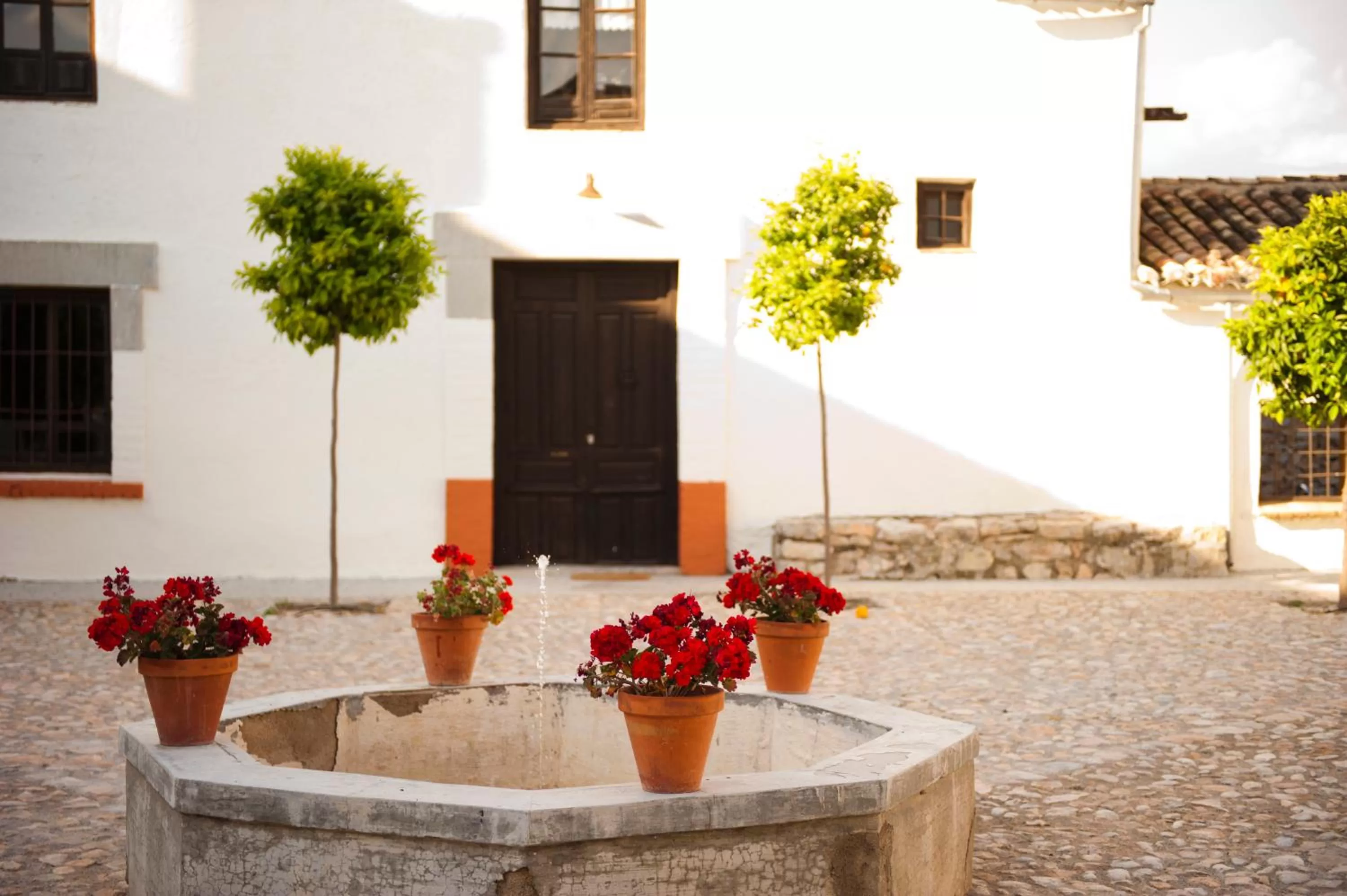 Patio in Hotel Cortijo del Marqués
