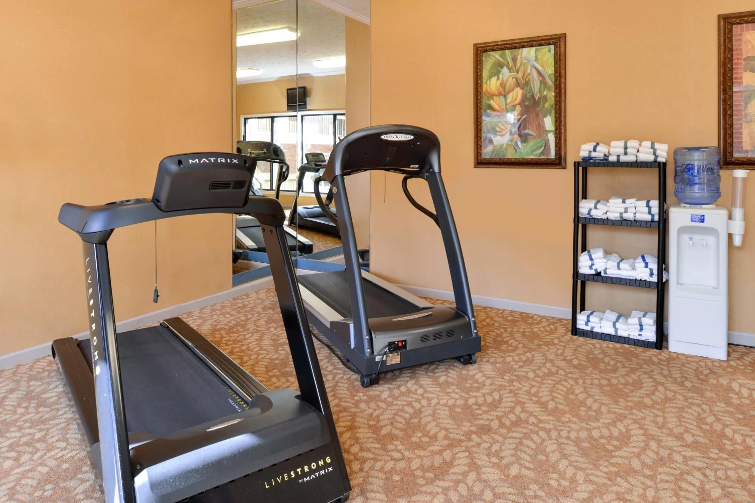 Fitness centre/facilities in SureStay Plus Hotel by Best Western Fayetteville