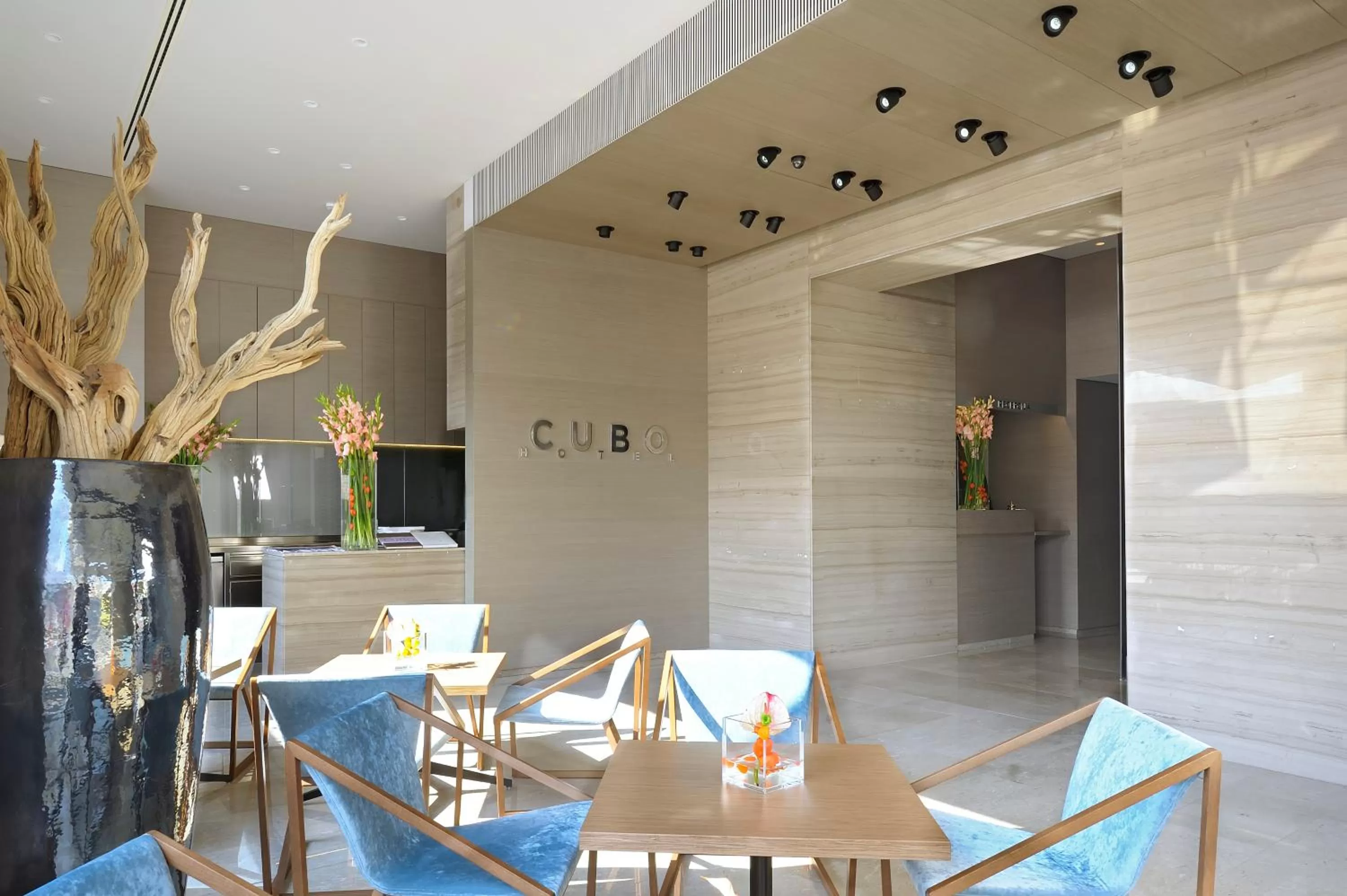 Lounge or bar in Hotel Cubo