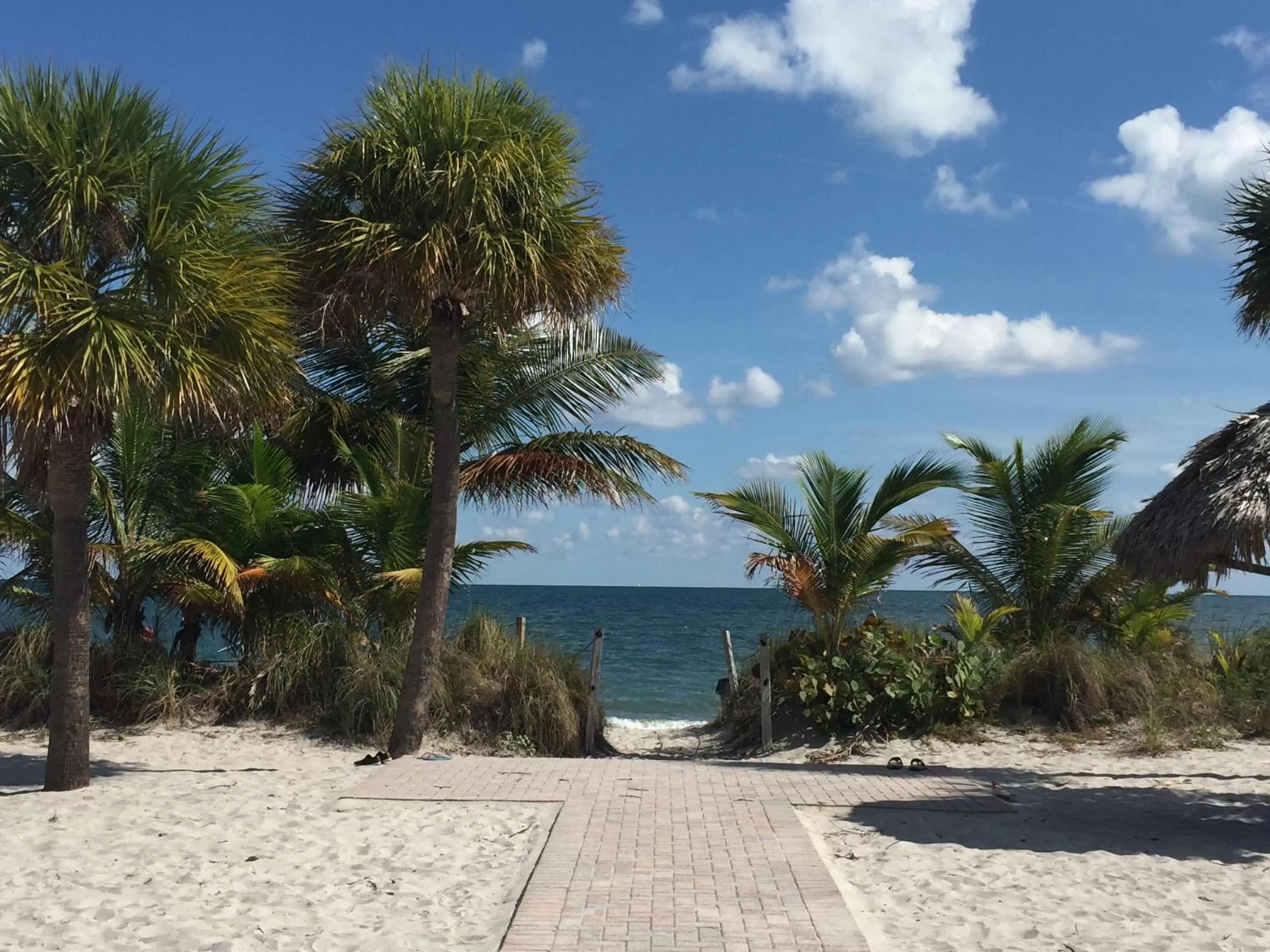 Nearby landmark in Beach Haus Key Biscayne Contemporary Apartments