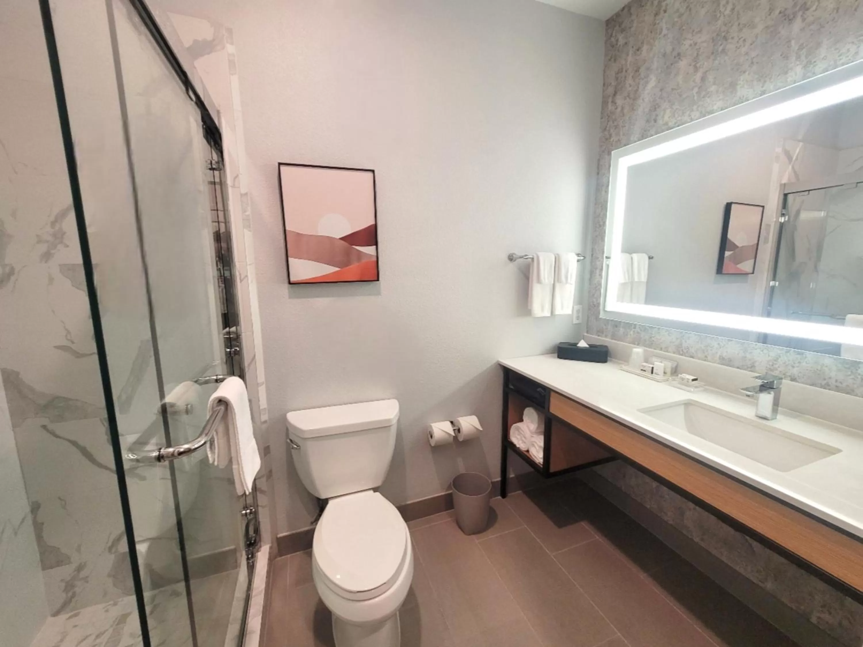 Shower in DoubleTree by Hilton Houston Westchase