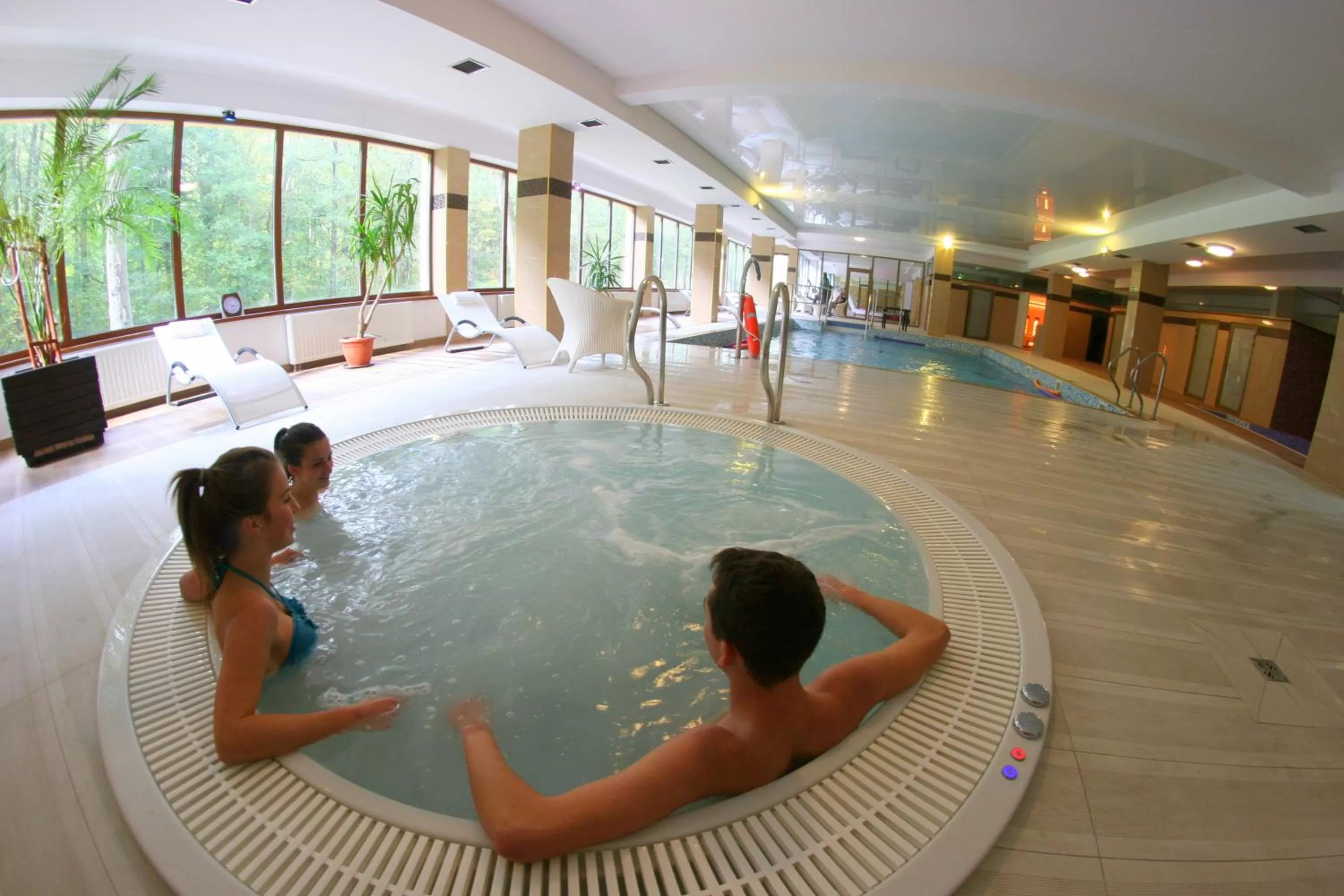 Spa and wellness centre/facilities, Swimming Pool in Hotel Mir-Jan SPA