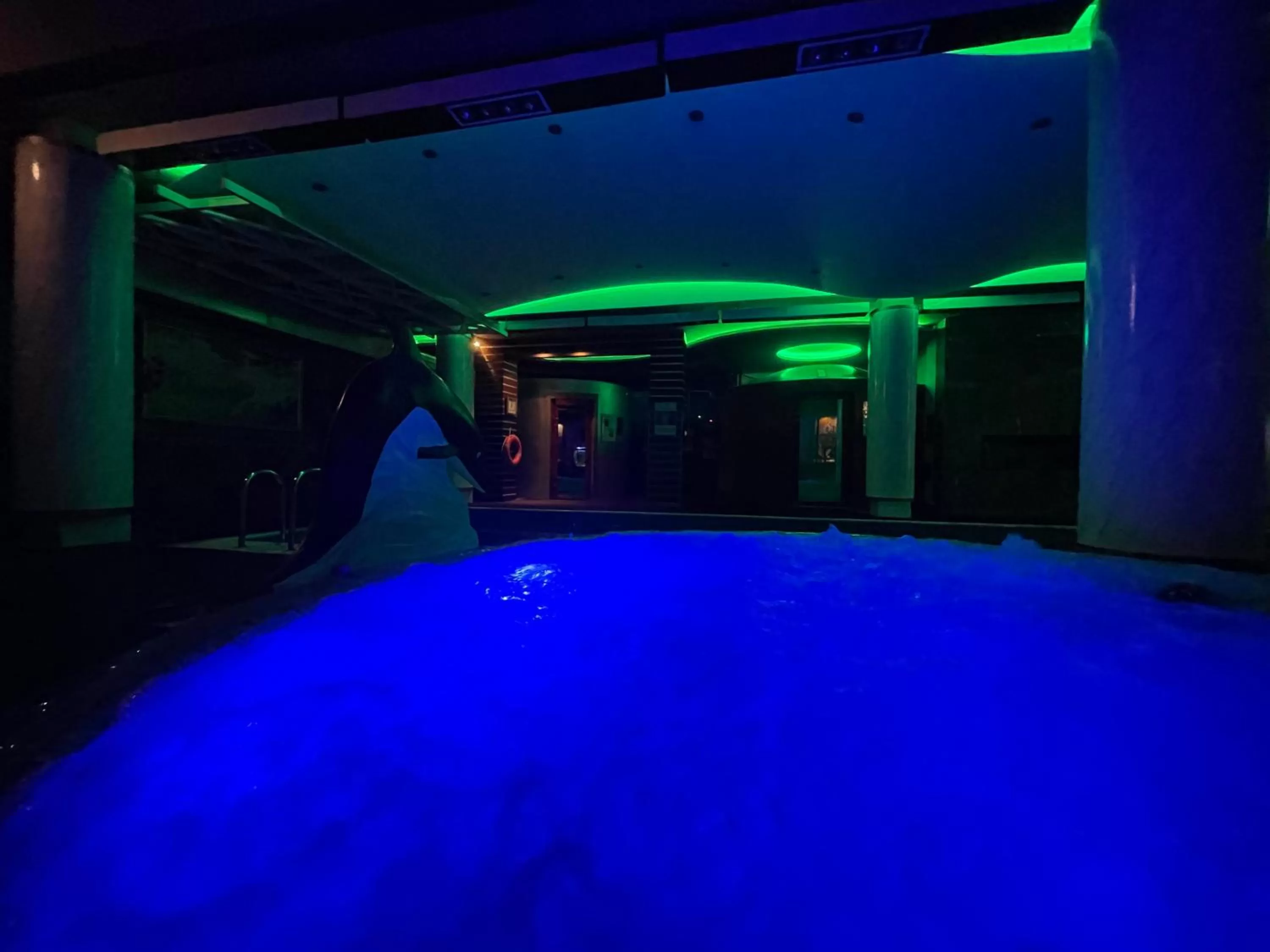 Spa and wellness centre/facilities, Swimming Pool in Hotel Rosa Blu