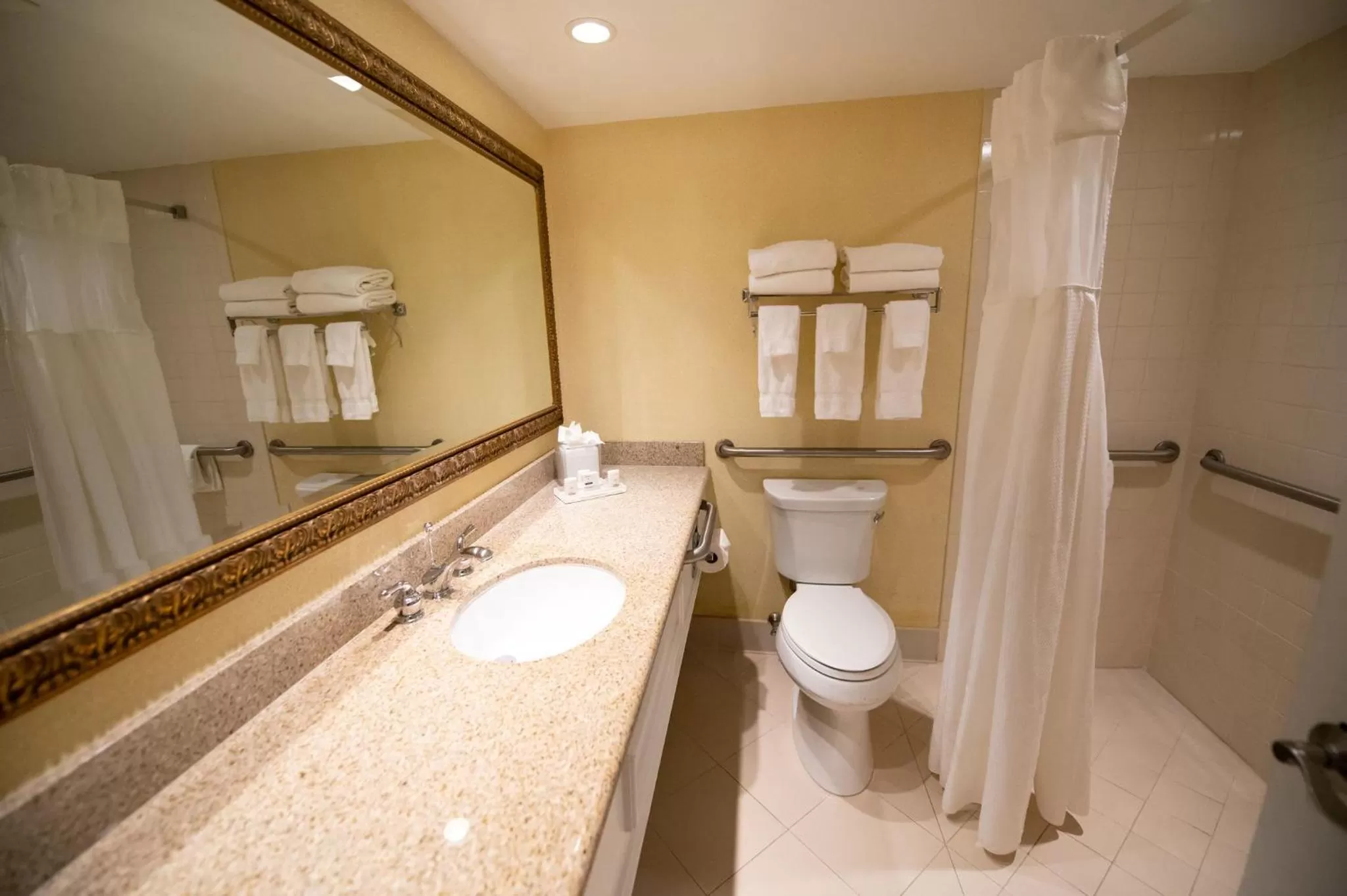 Bathroom in Holiday Inn Bar Harbor Regency Hotel by IHG