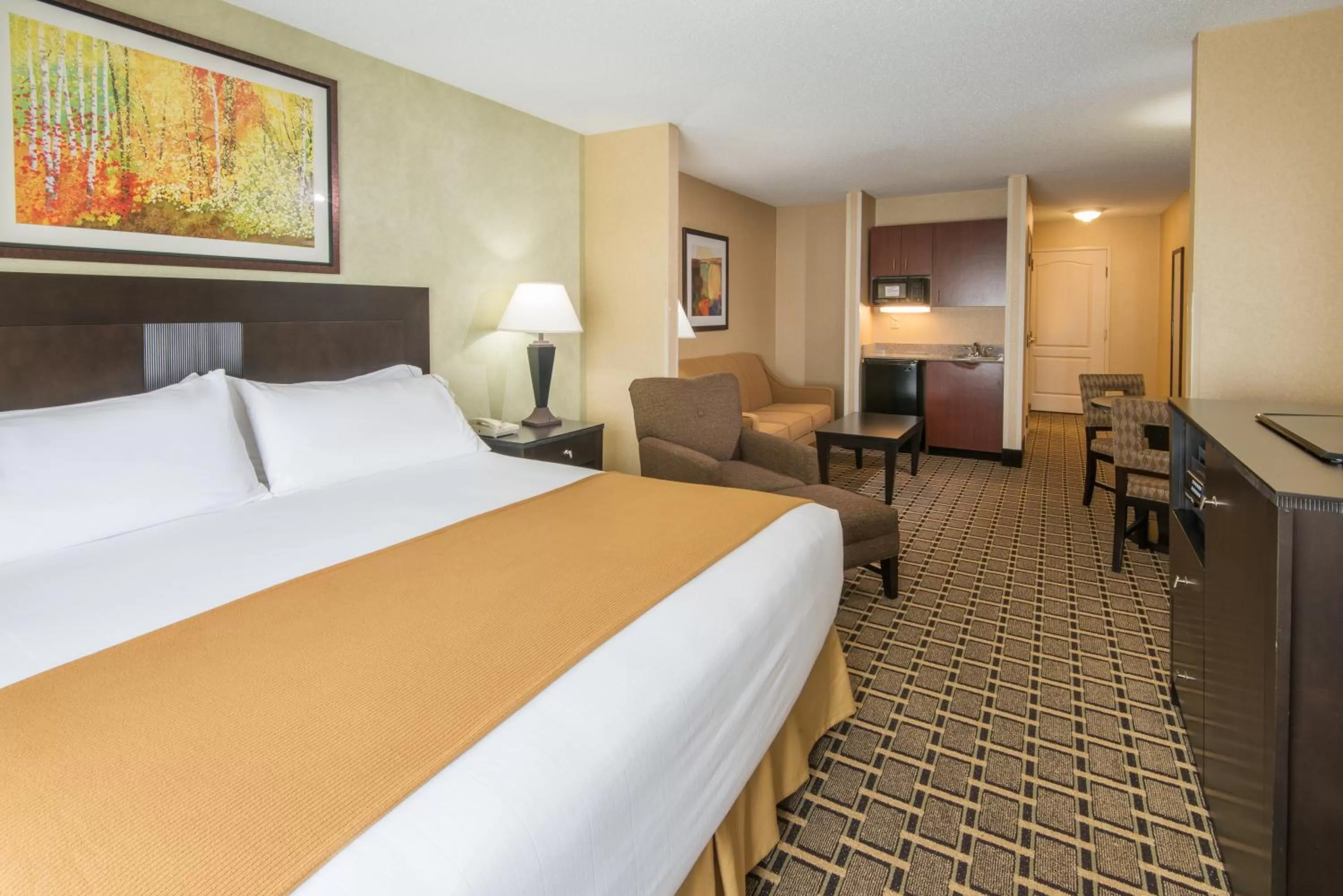 Photo of the whole room, Bed in Holiday Inn Express & Suites - Sharon-Hermitage by IHG