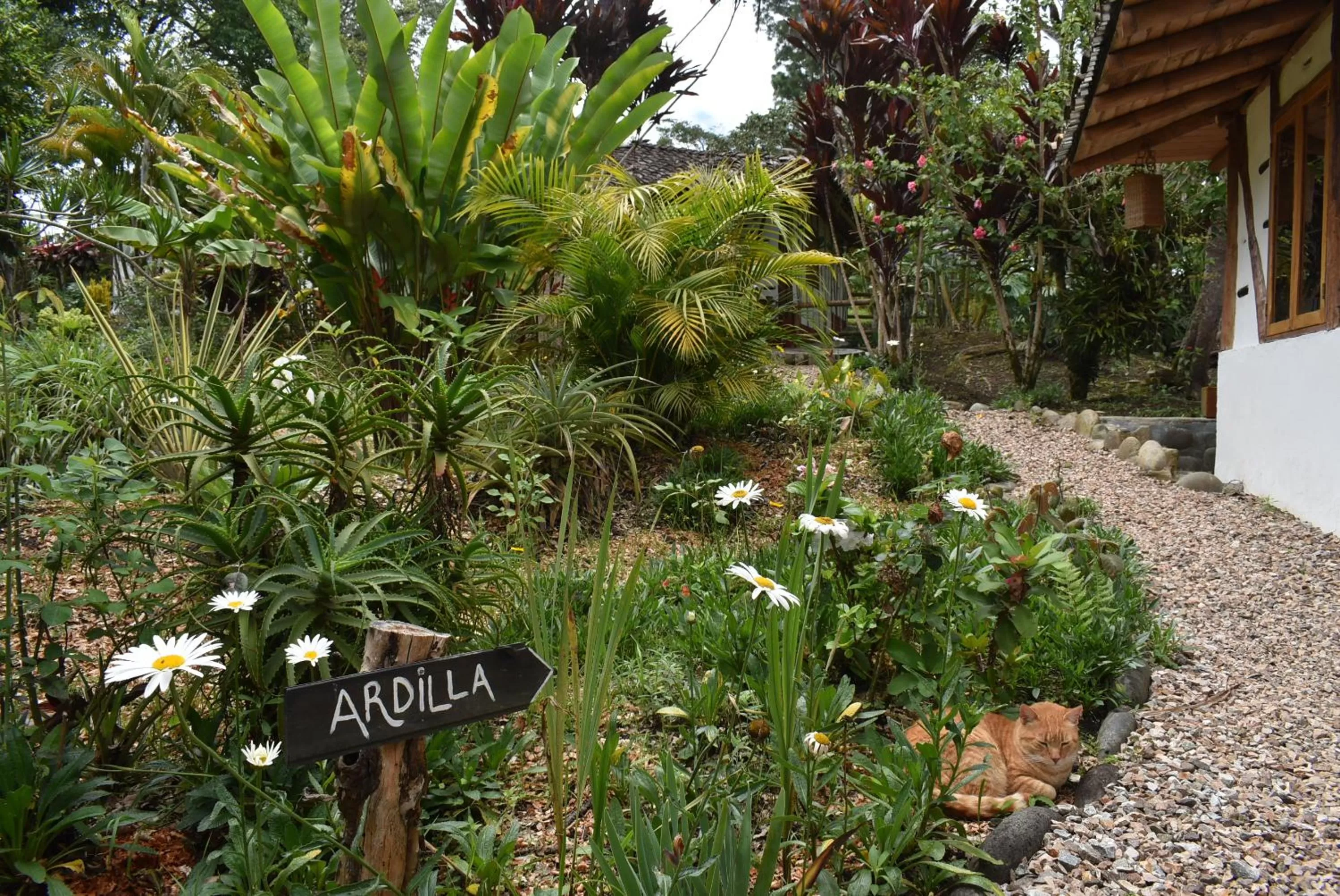 Garden view in Hotel La Casa de Francois