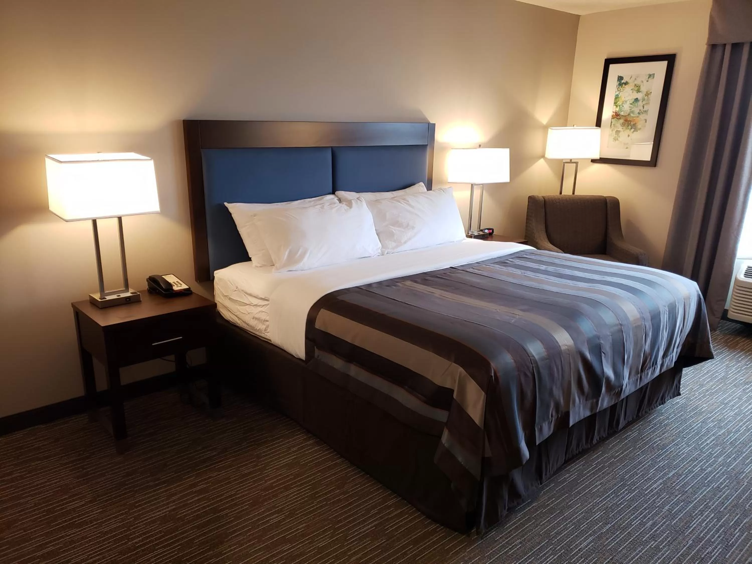 Bed in Wingate by Wyndham Christiansburg