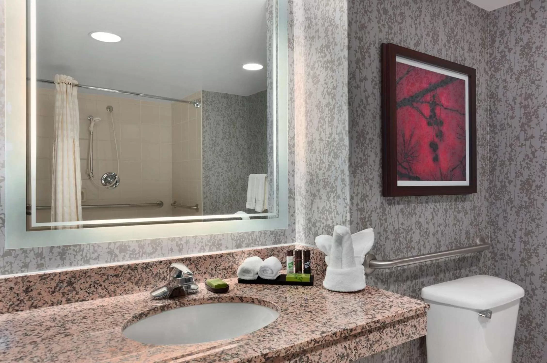 Bathroom in Embassy Suites by Hilton Dulles Airport