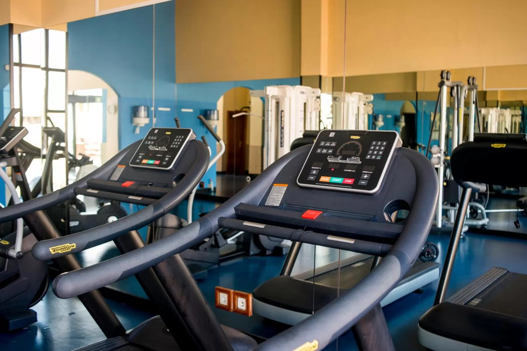 Fitness centre/facilities, Fitness Center/Facilities in Bahia Principe Sunlight Tenerife