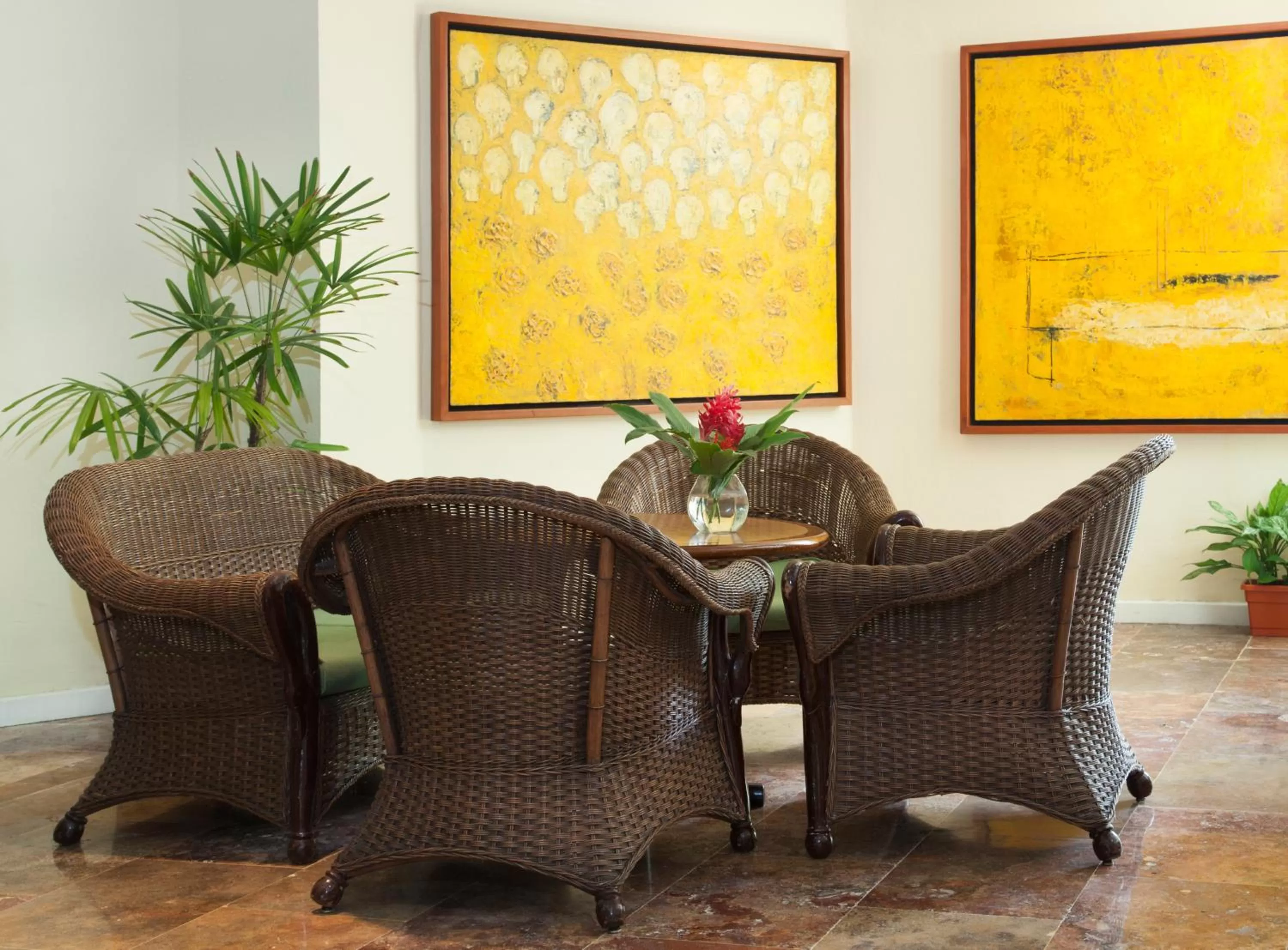 Area and facilities in Hotel Viva Villahermosa