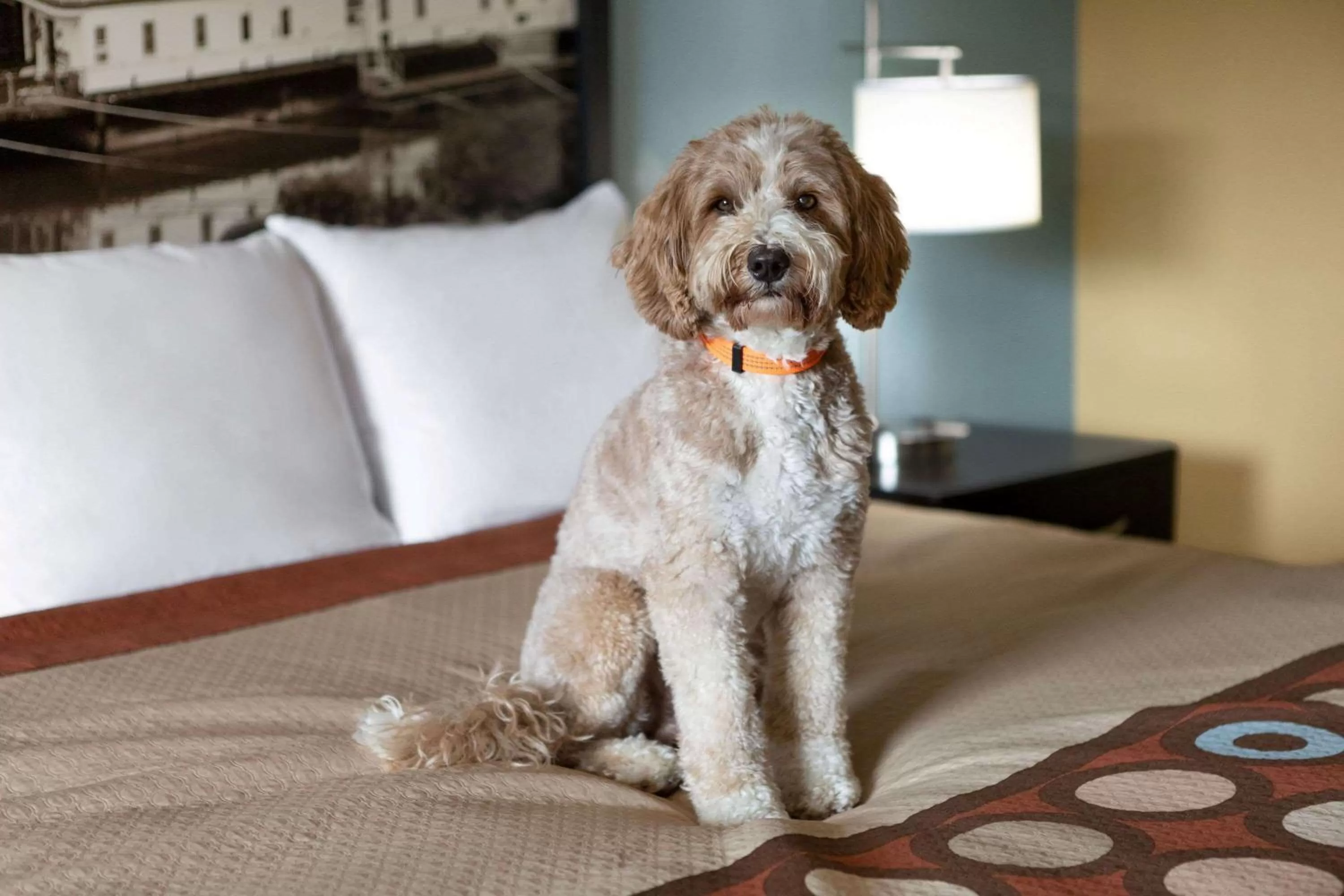 On site in Super 8 by Wyndham Whites Creek/ Nashville NW Area