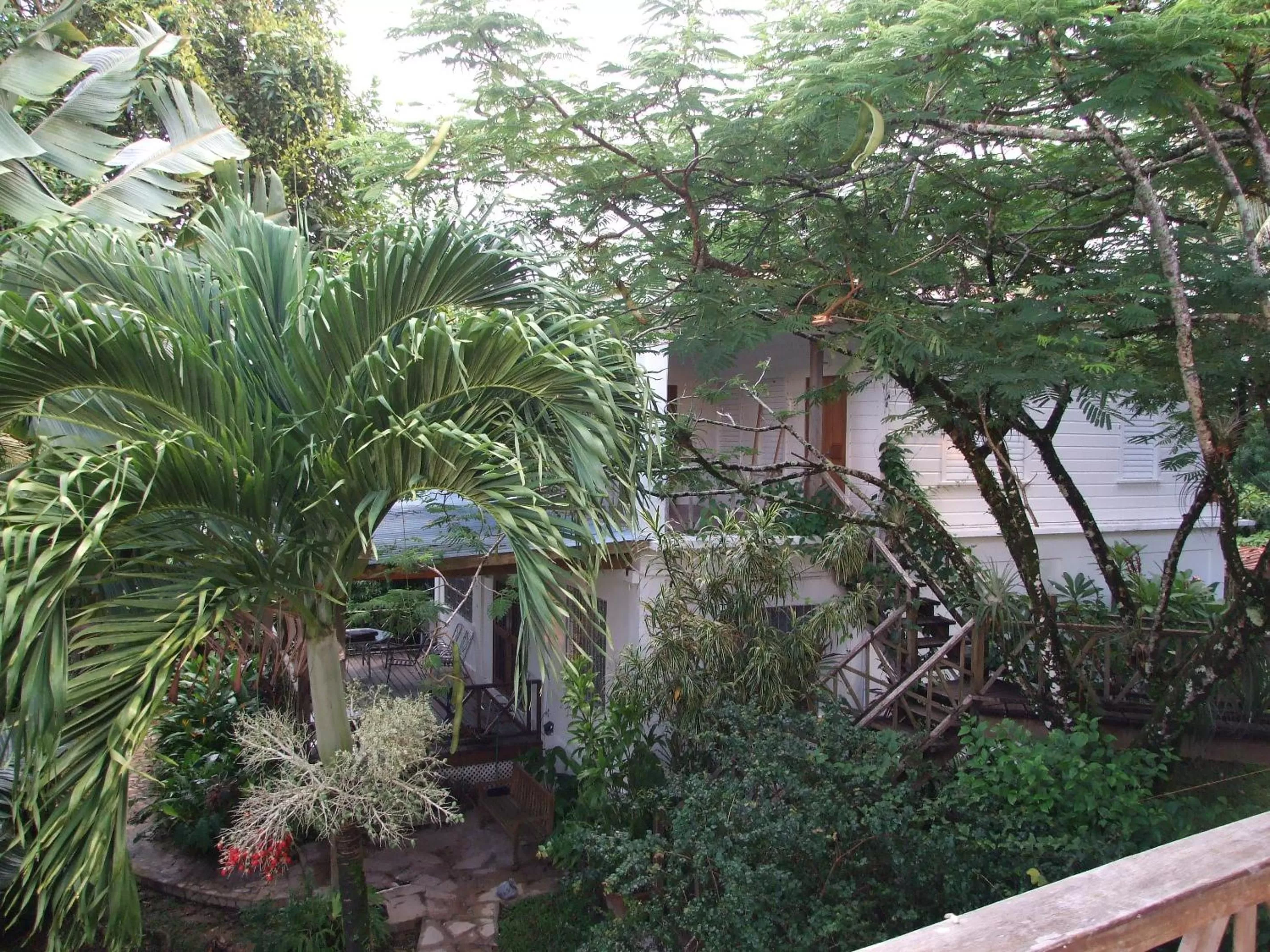 Property building in BlueBelize B&B