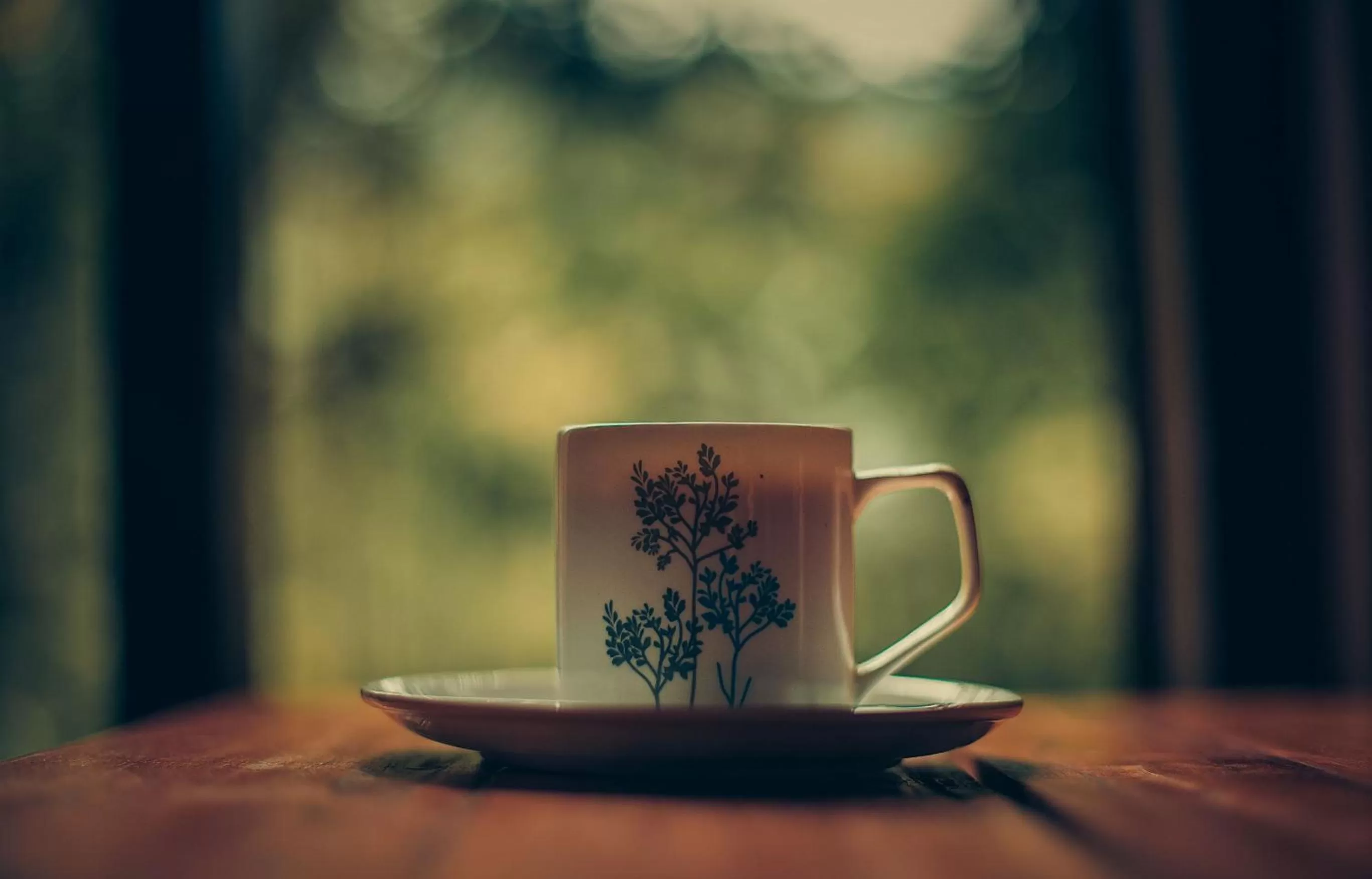 Restaurant/places to eat in Ela Ecoland Nature Retreat