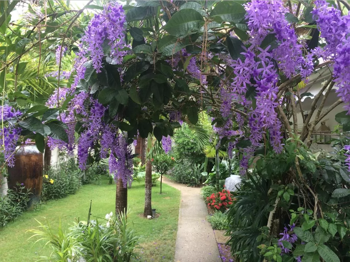 Garden in Mahona Boutique Hotel
