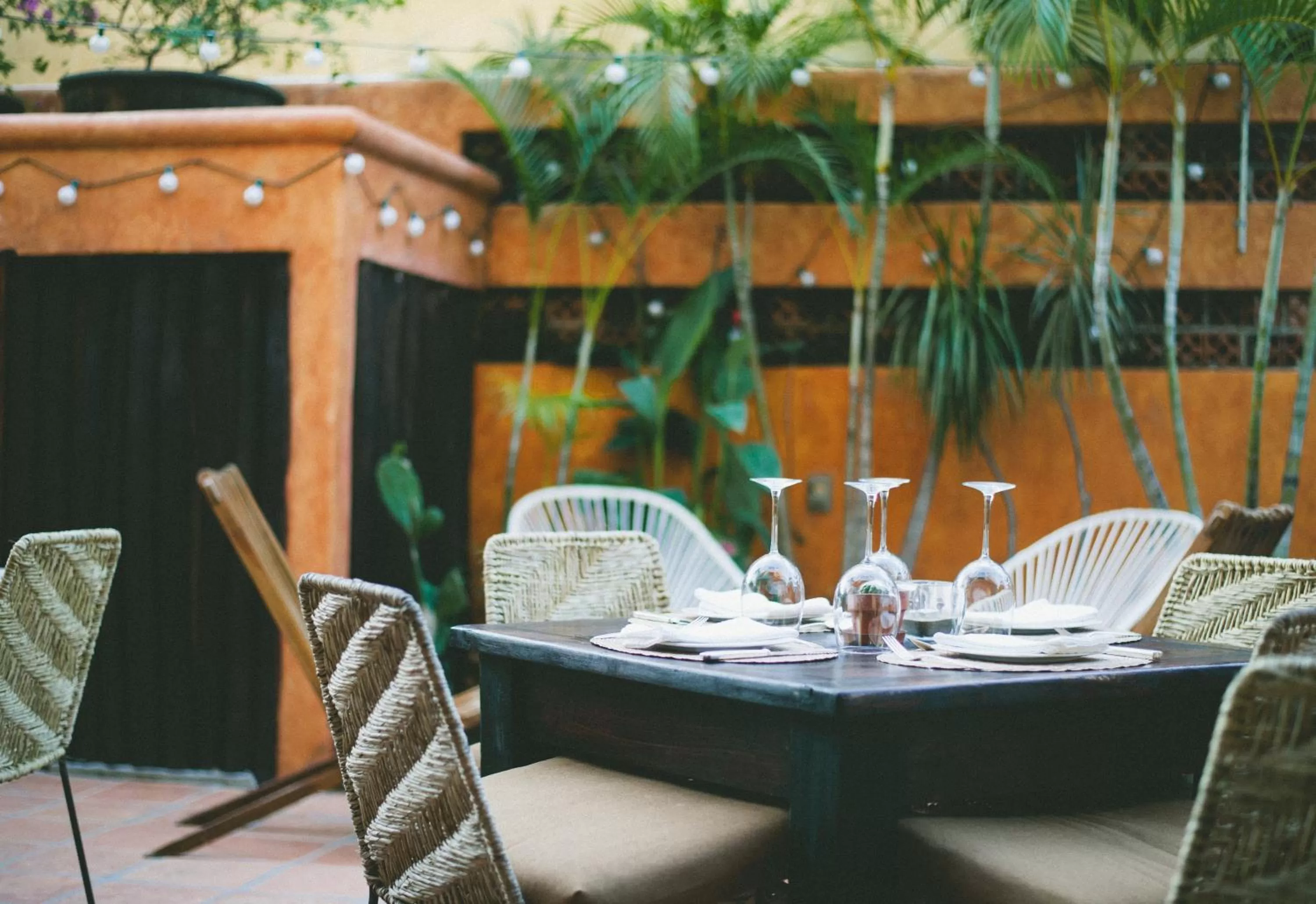 Patio in Hotel Cielo Rojo