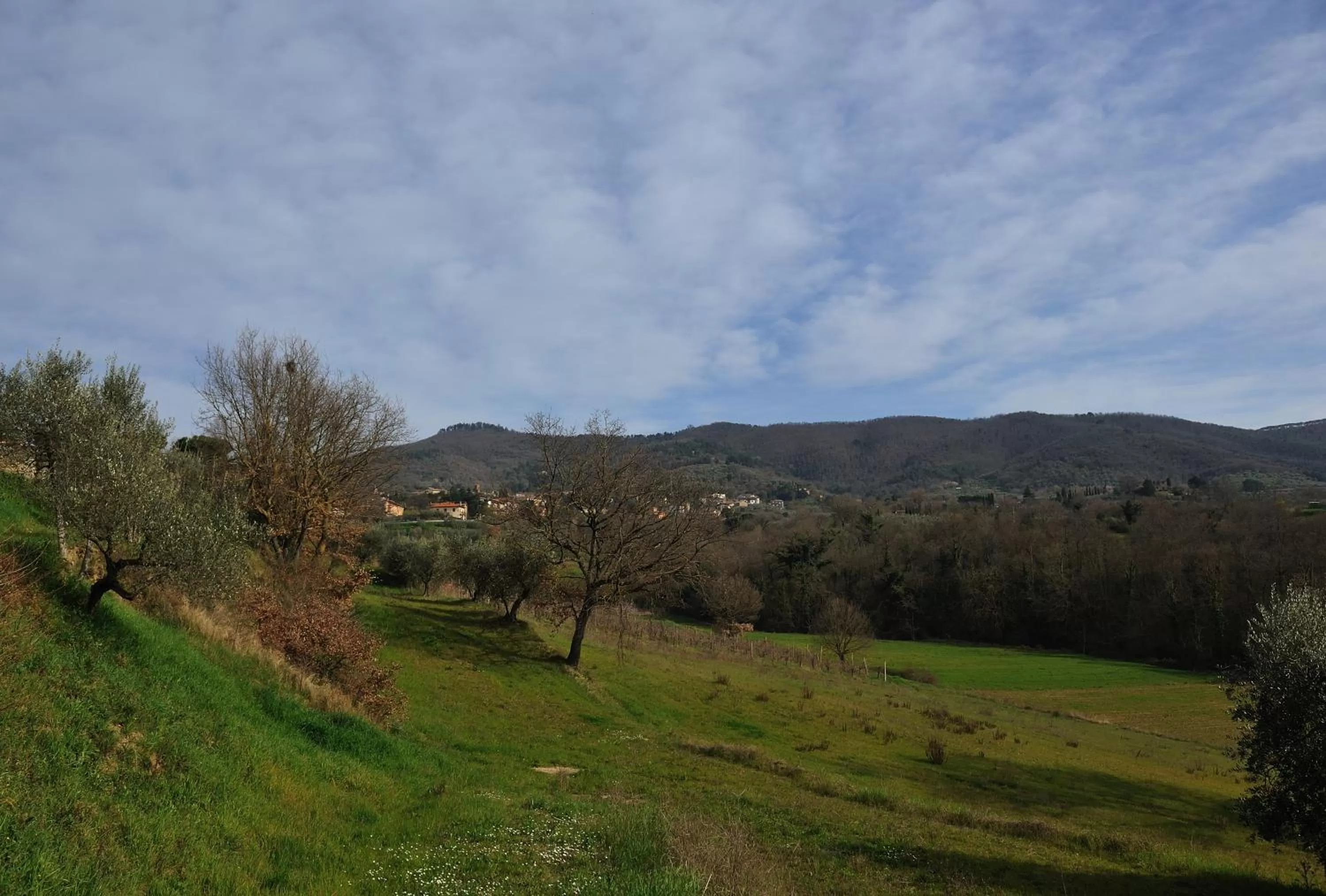 Area and facilities in Agriturismo Tenuta Badia