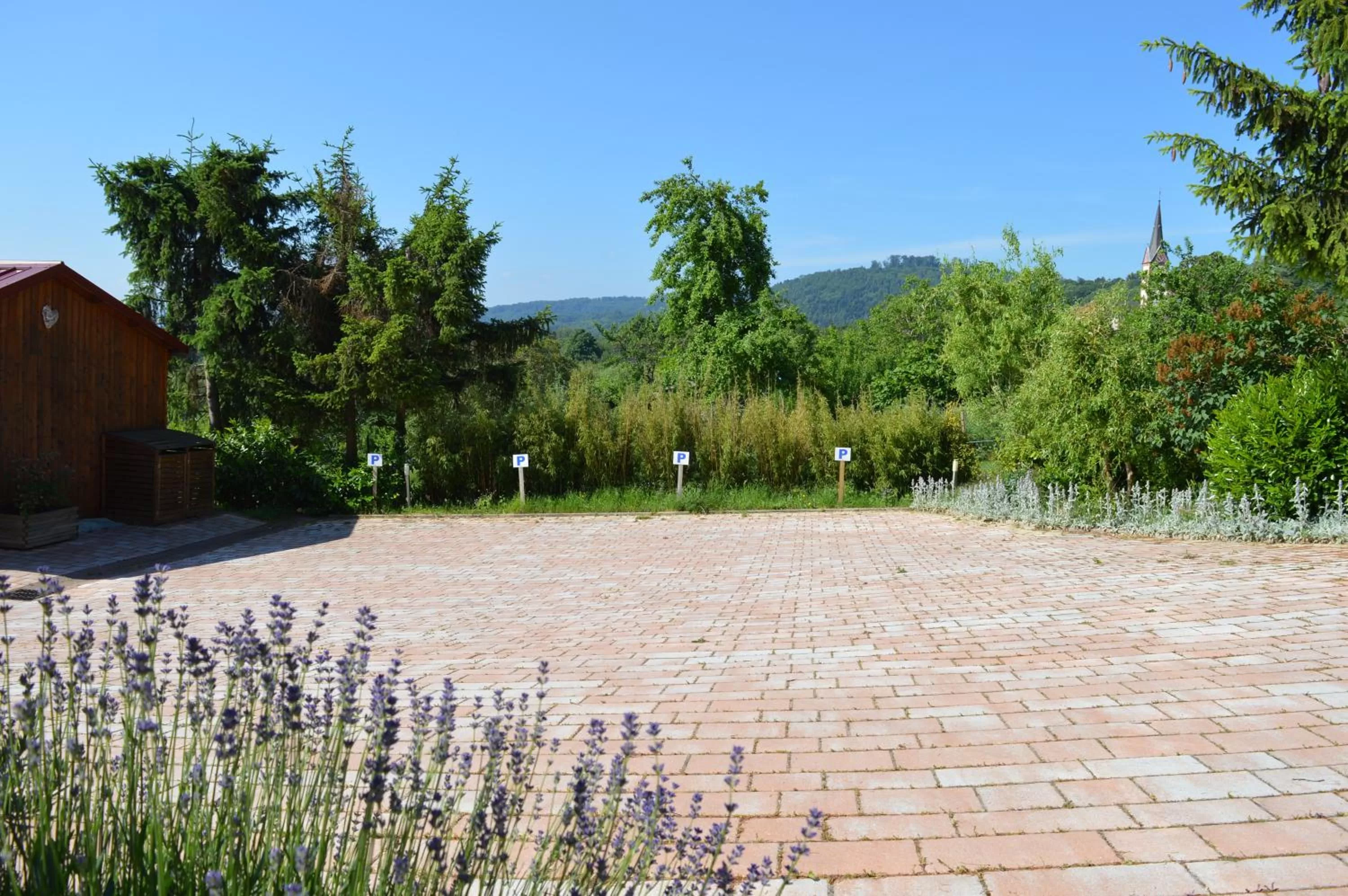 Chambres d'hôtes Les vignes