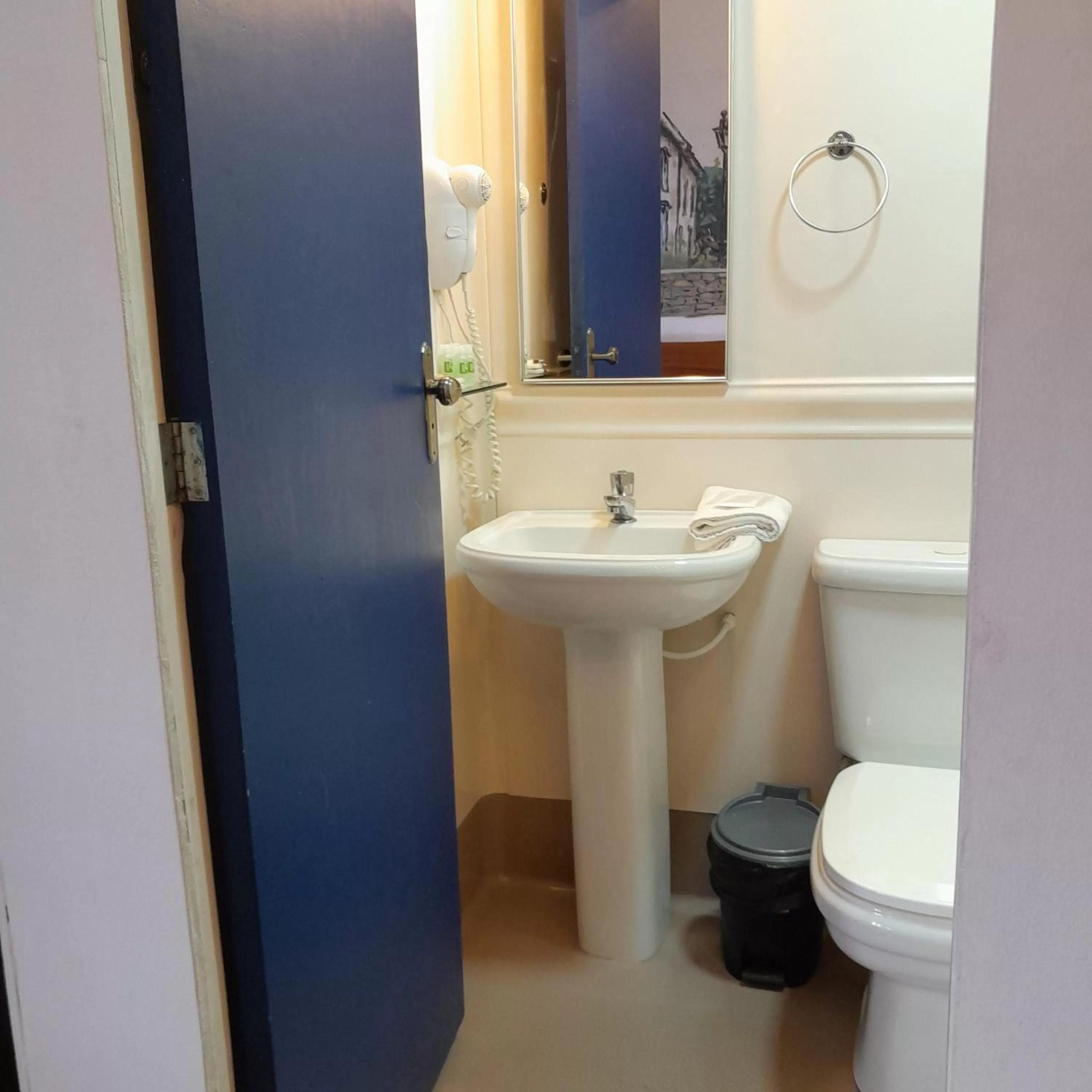 Shower, Bathroom in Hotel Barroco Mineiro