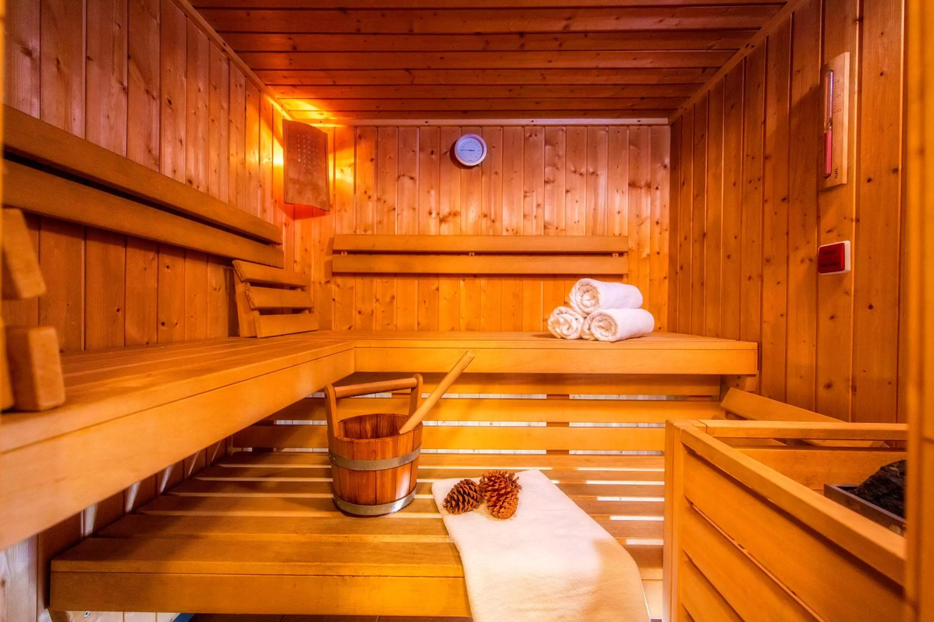 Sauna in Rezydencja Sienkiewiczówka