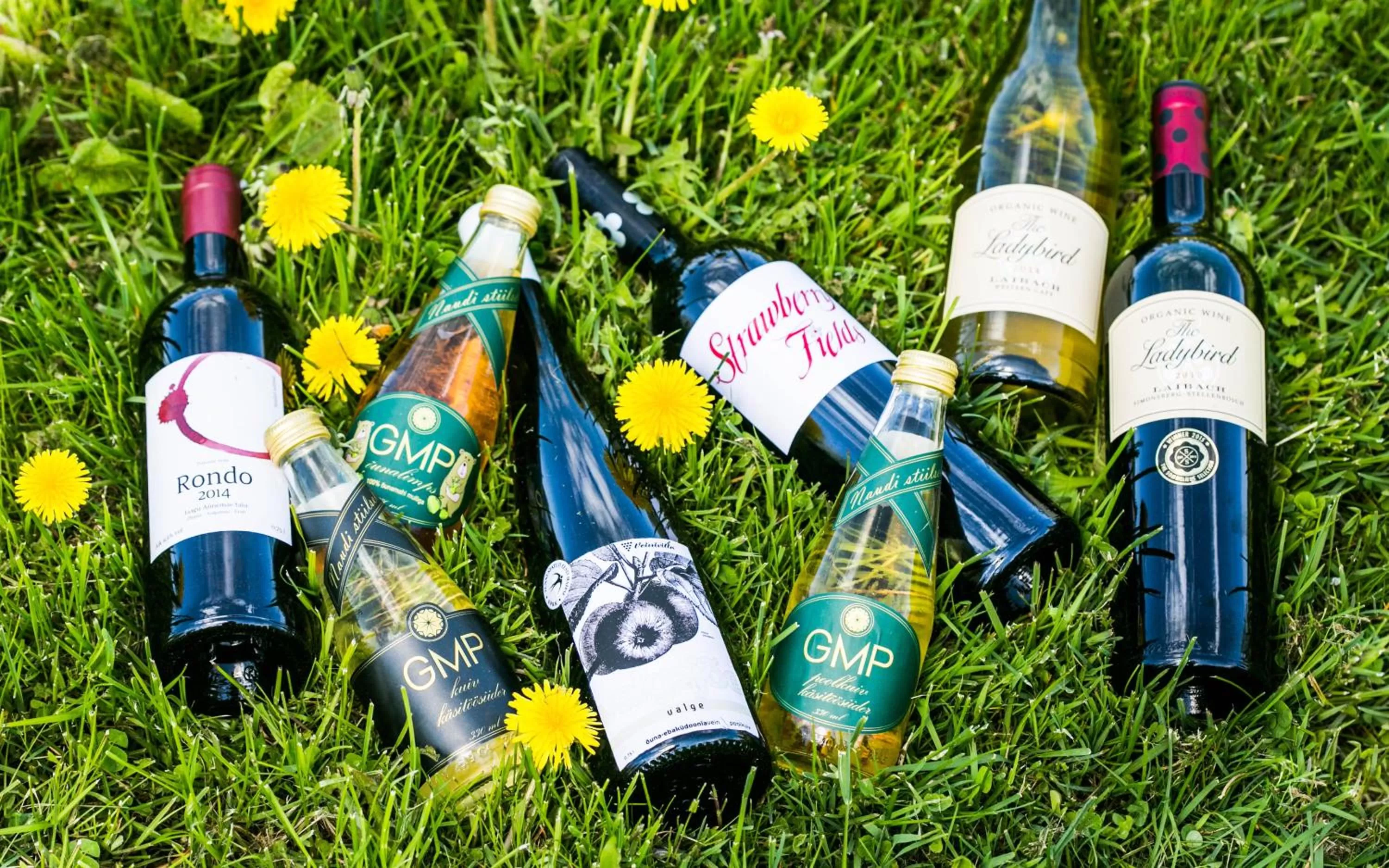 Restaurant/places to eat in GMP Clubhotel Apartments