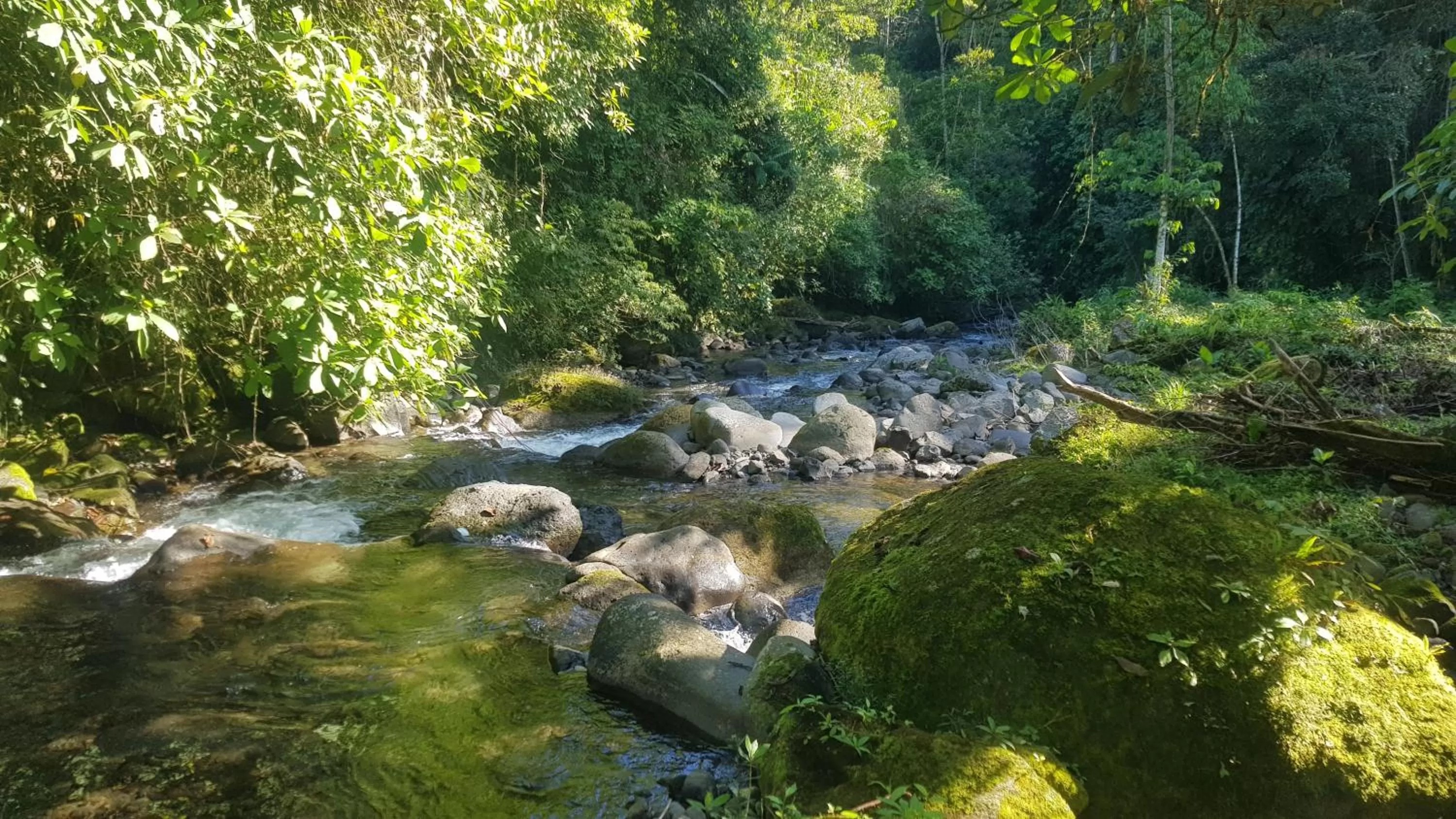 River view, Natural Landscape in Hotel Rivel - Adventure & Nature Retreat