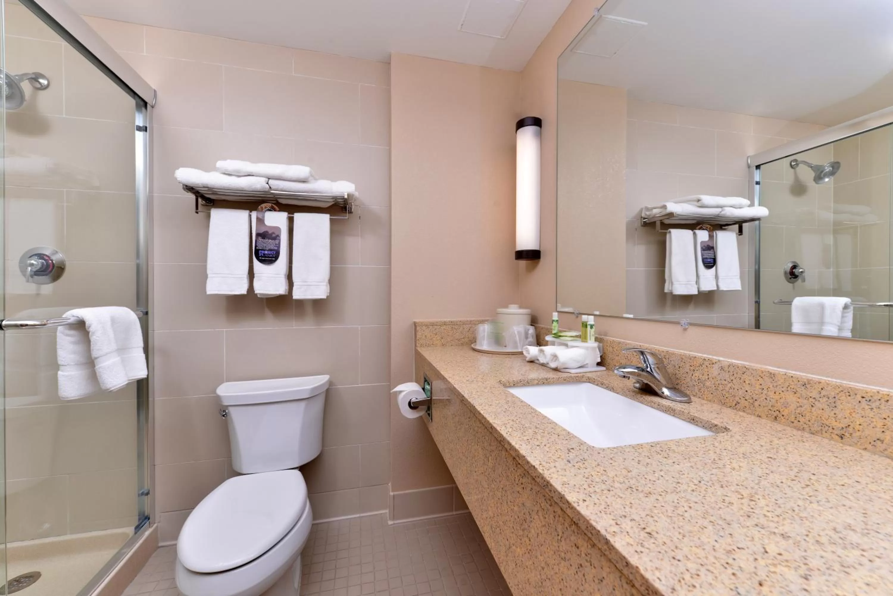 Bathroom in Holiday Inn Express Breezewood by IHG