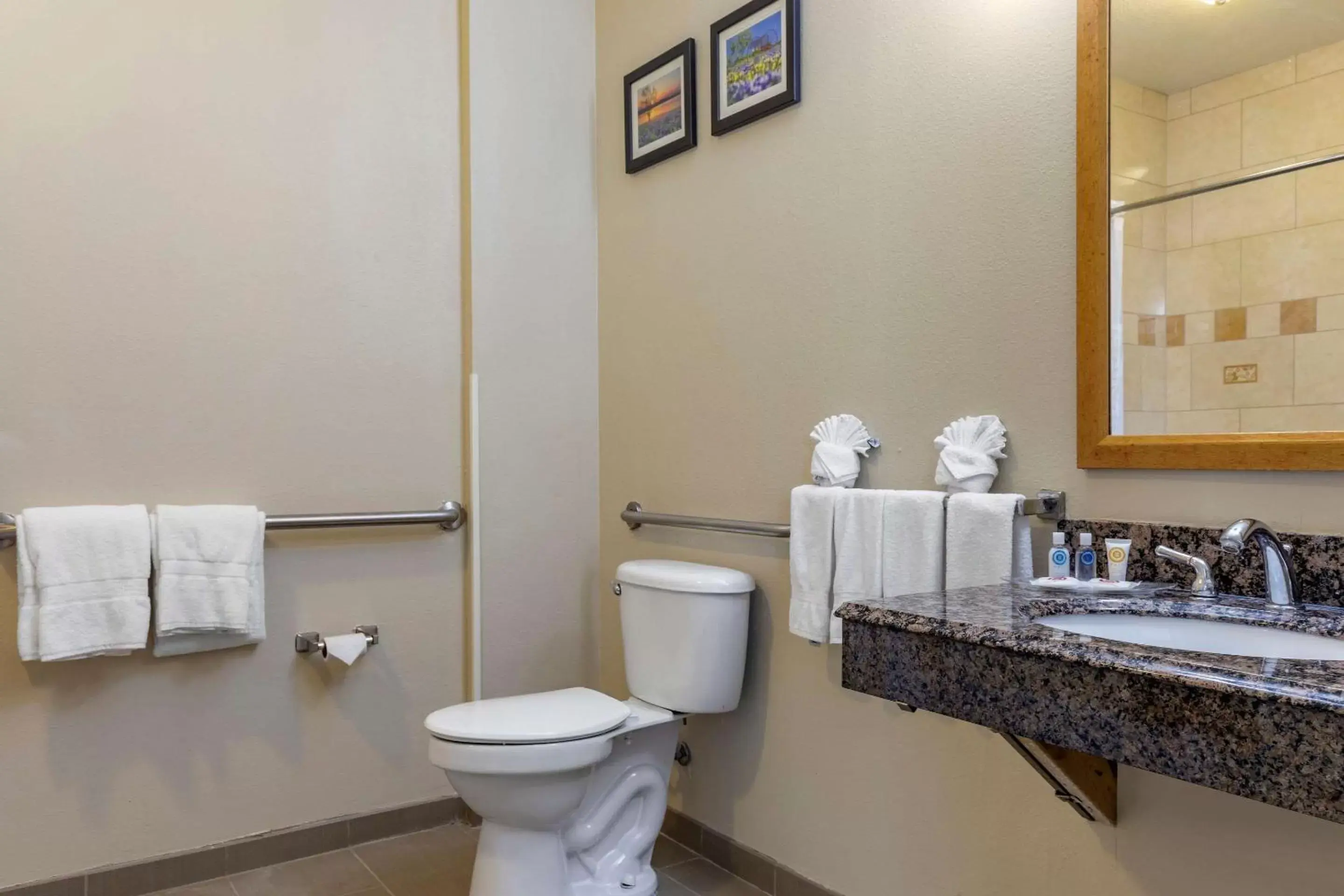 King Suite with Roll-in-Shower - Accessible/Non-Smoking in Comfort Suites Plano - Dallas North King Suite with Roll-in-Shower - Accessible/Non-Smoking in Comfort Suites Plano - Dallas North