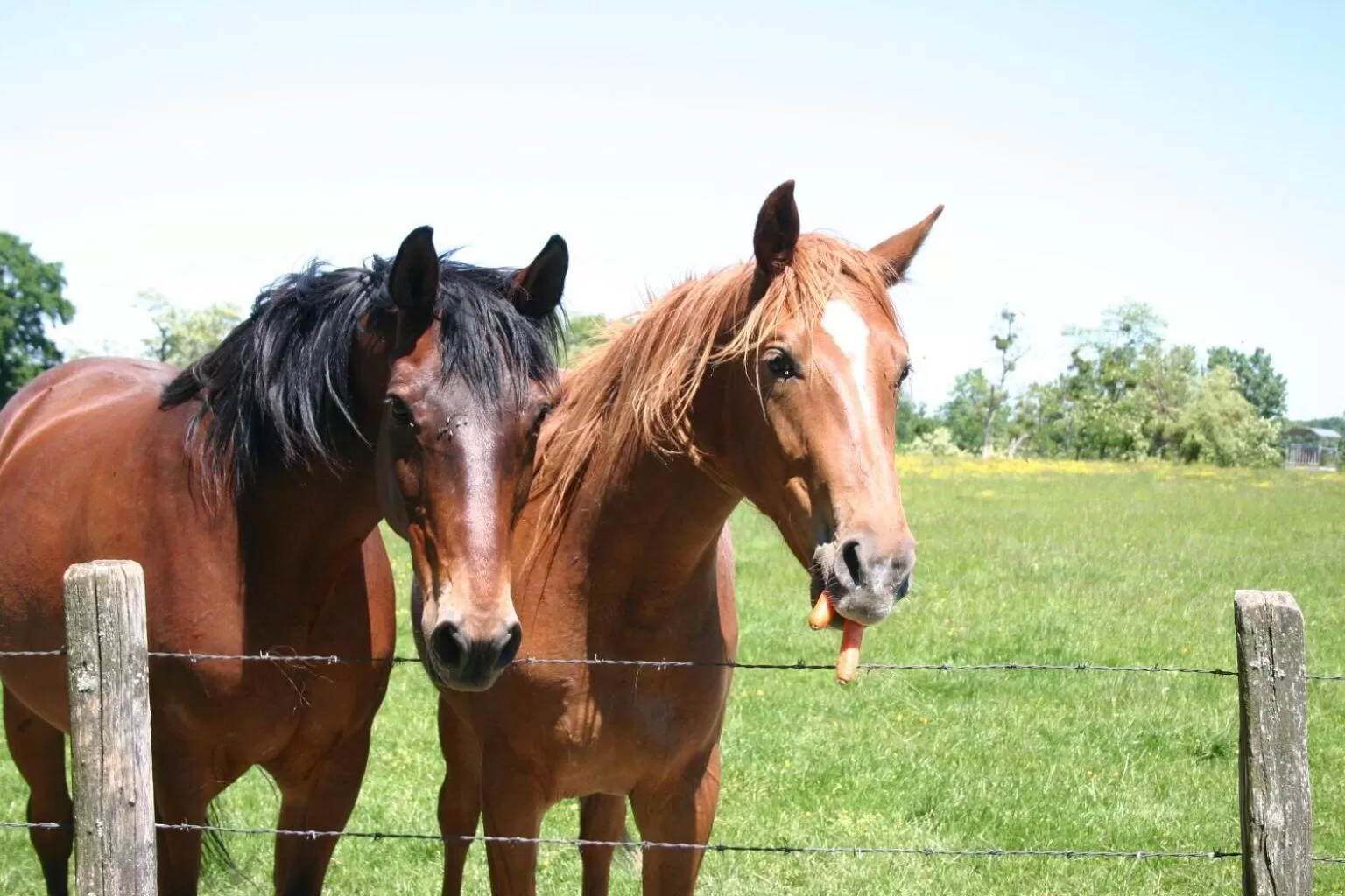Le Moulin de Champagne