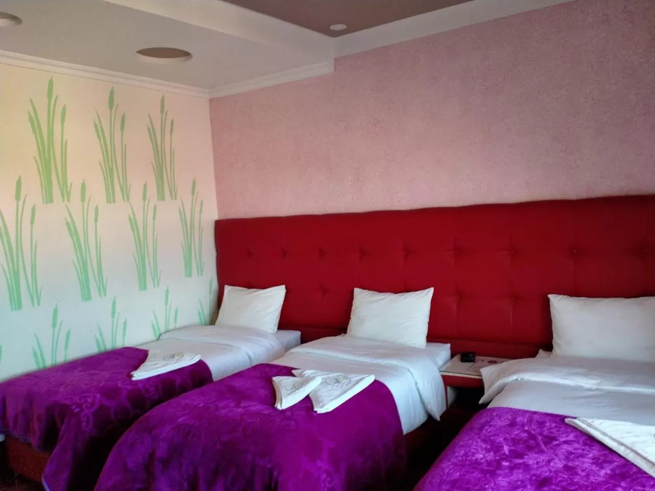 Bed in Hôtel Hadaik Ain Asserdoune