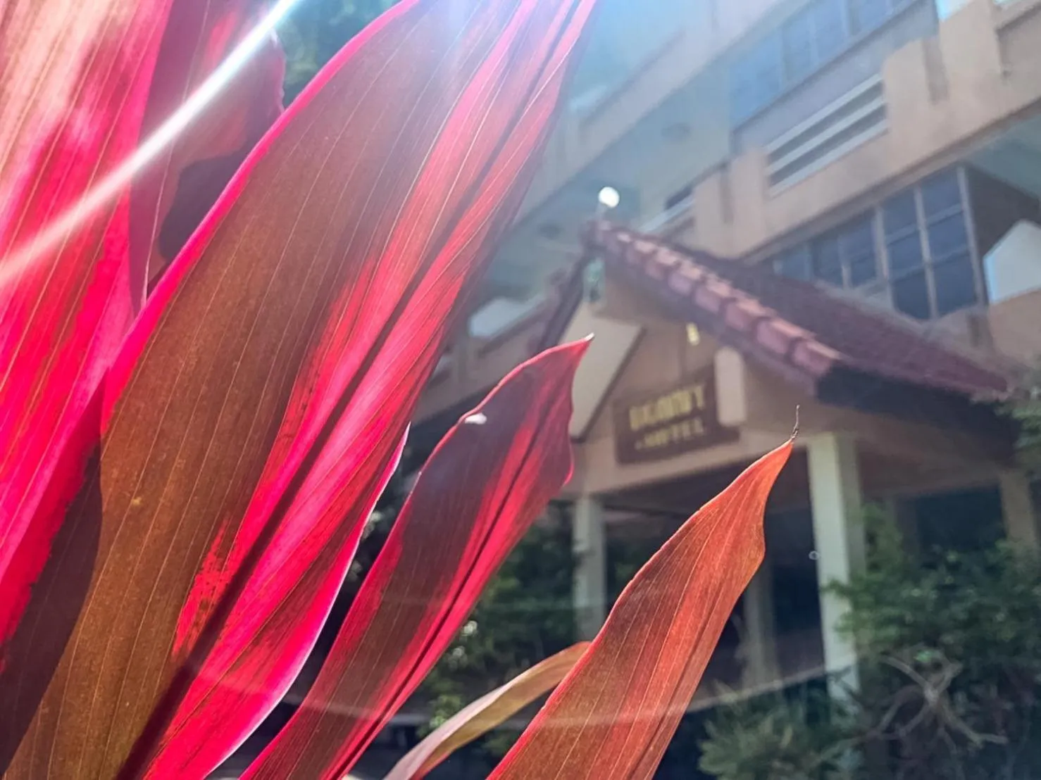 View (from property/room) in Bonny Hotel 4 Floors No Elevator