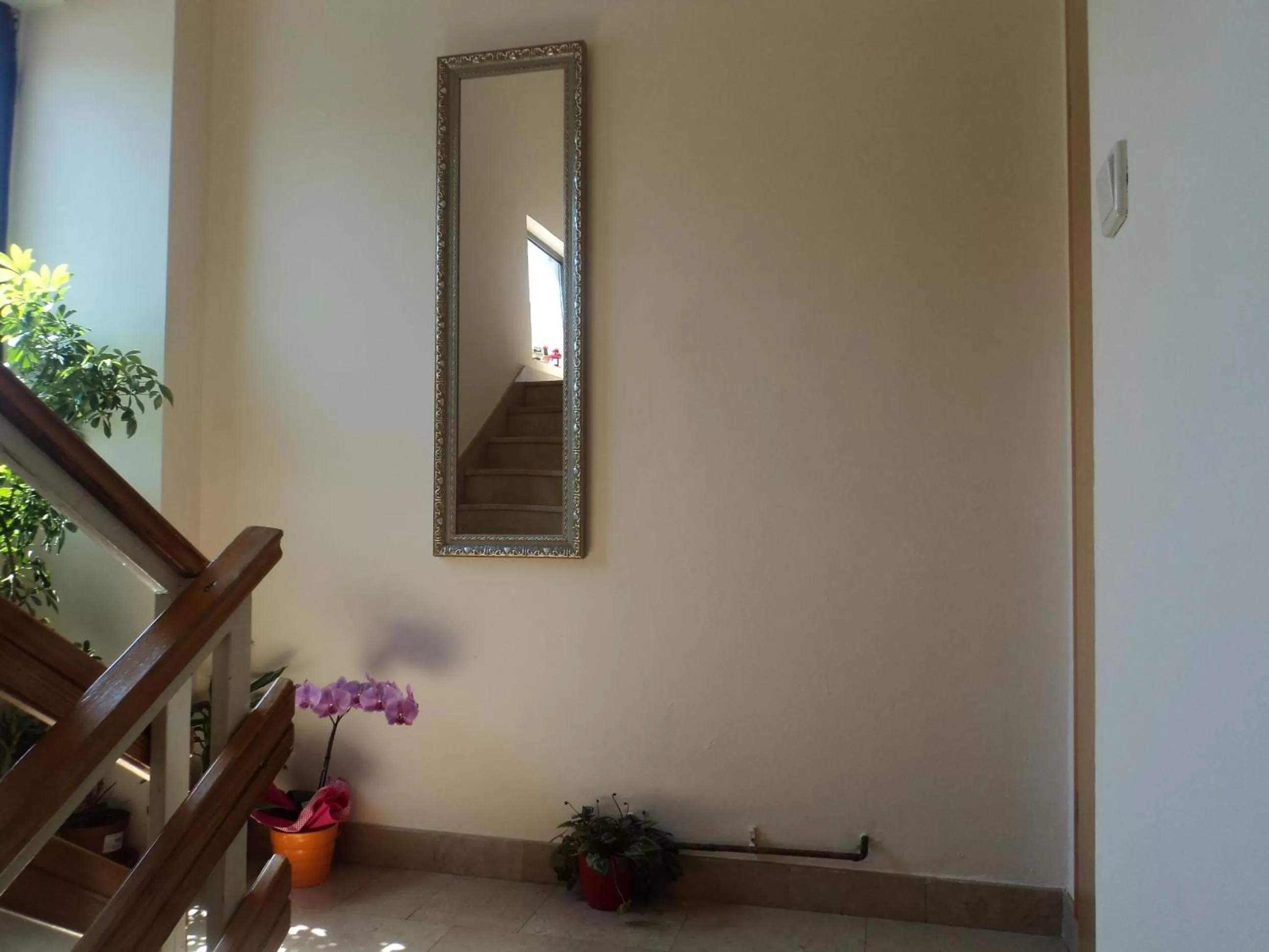 Other in Pansion Modana Medjugorje