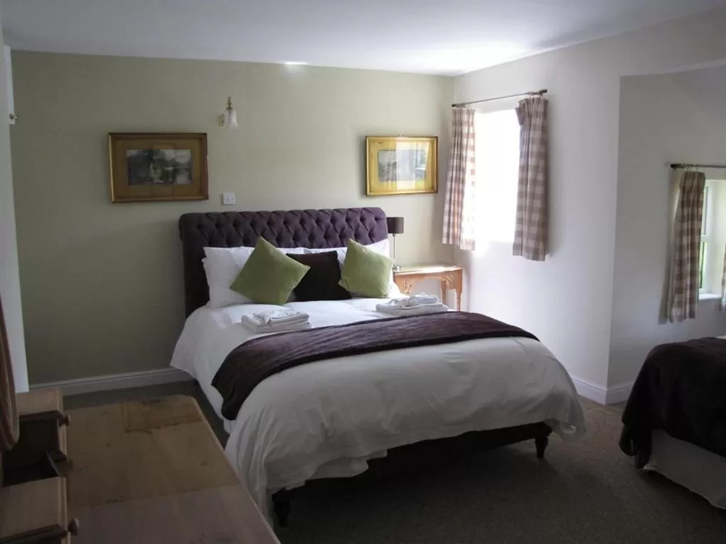Standard King Room - single occupancy in Wellington Inn