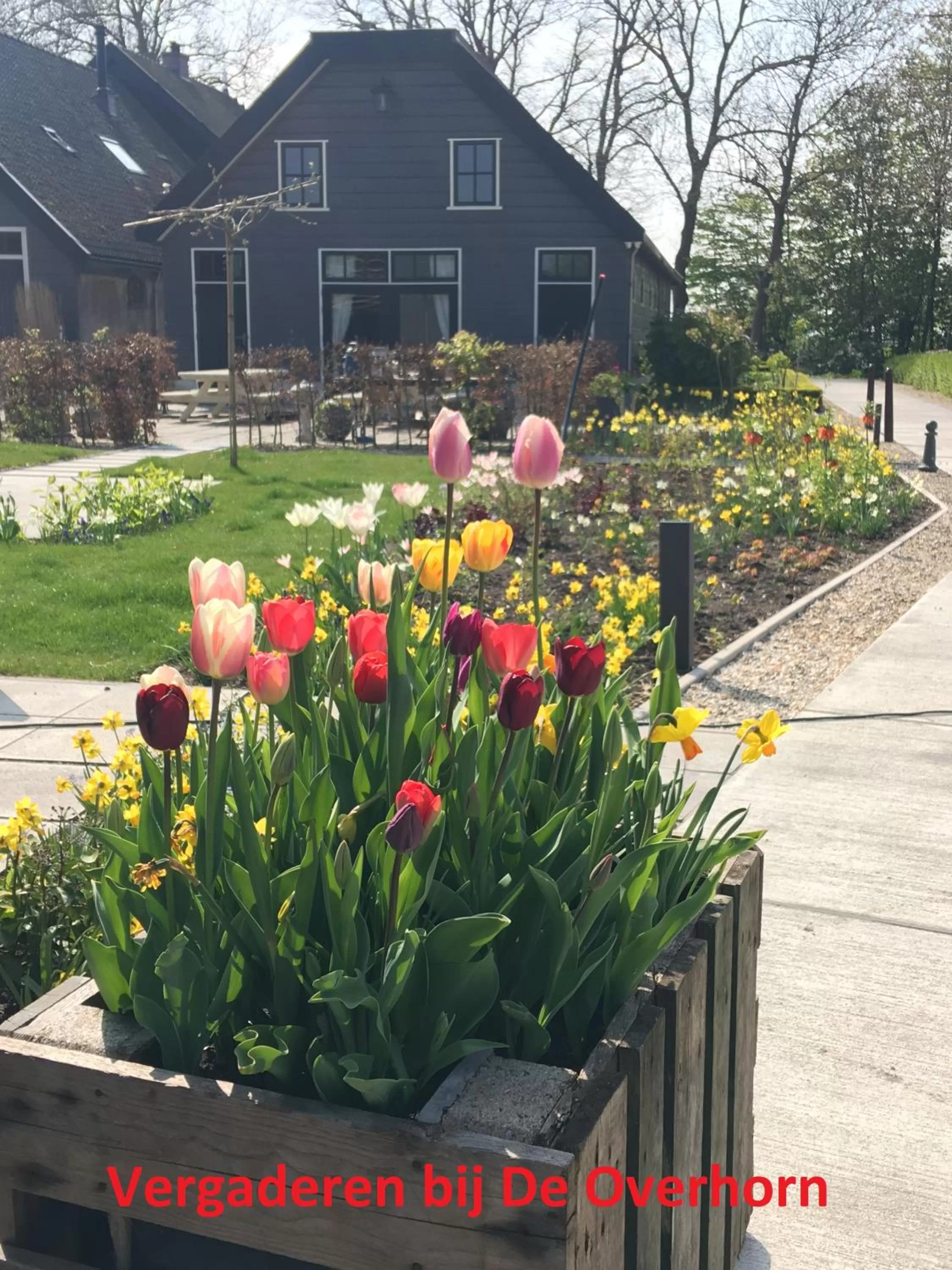 Property building in Boerenhofstede de Overhorn