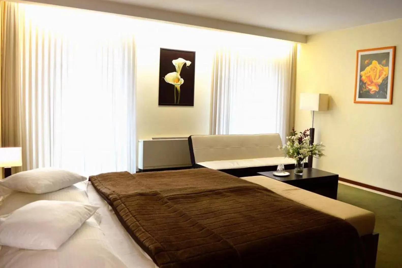 Superior Double Room in Hotel Astory Plzeň Superior Double Room in Hotel Astory Plzeň