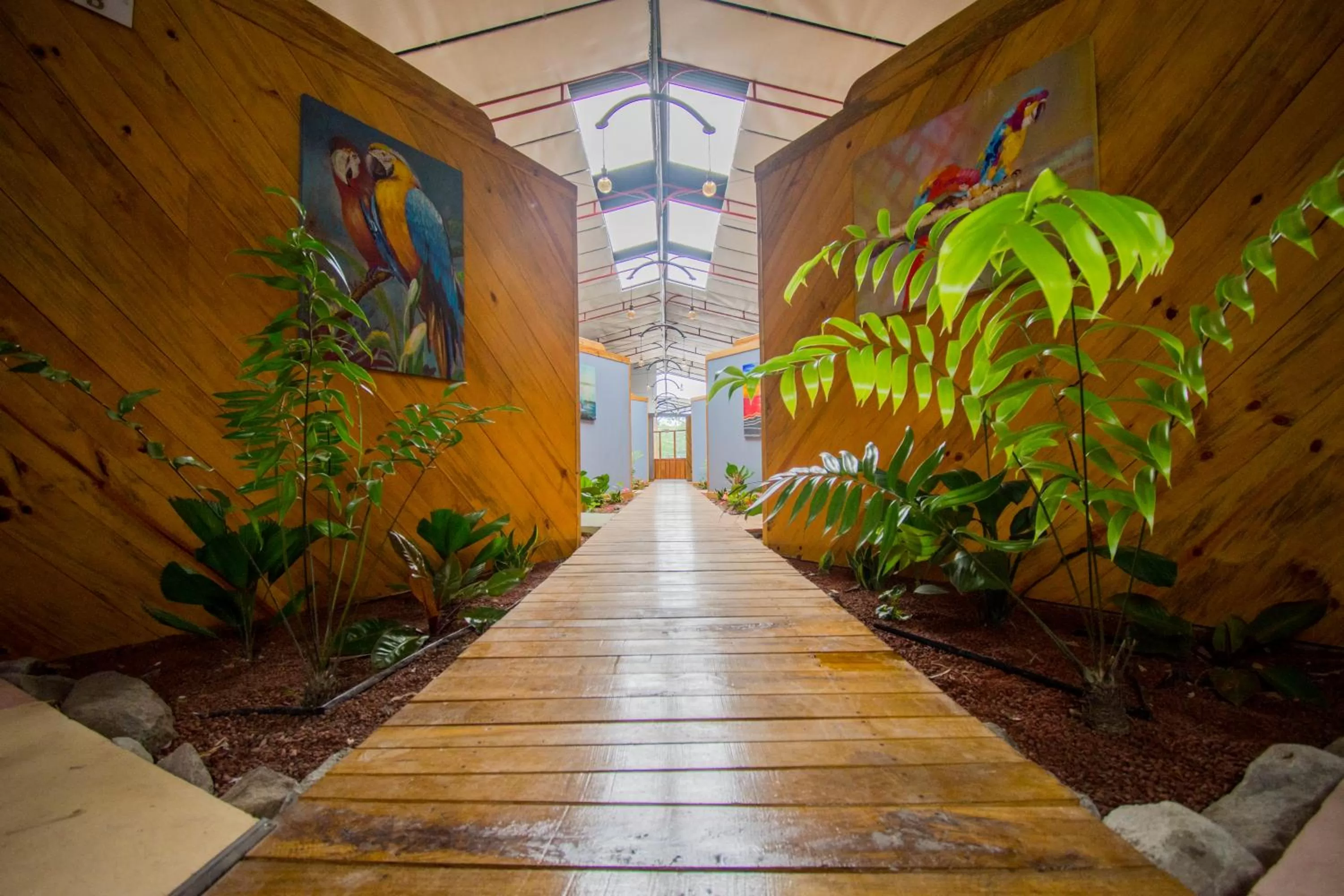Garden in Hotel Hacienda Don Paolo