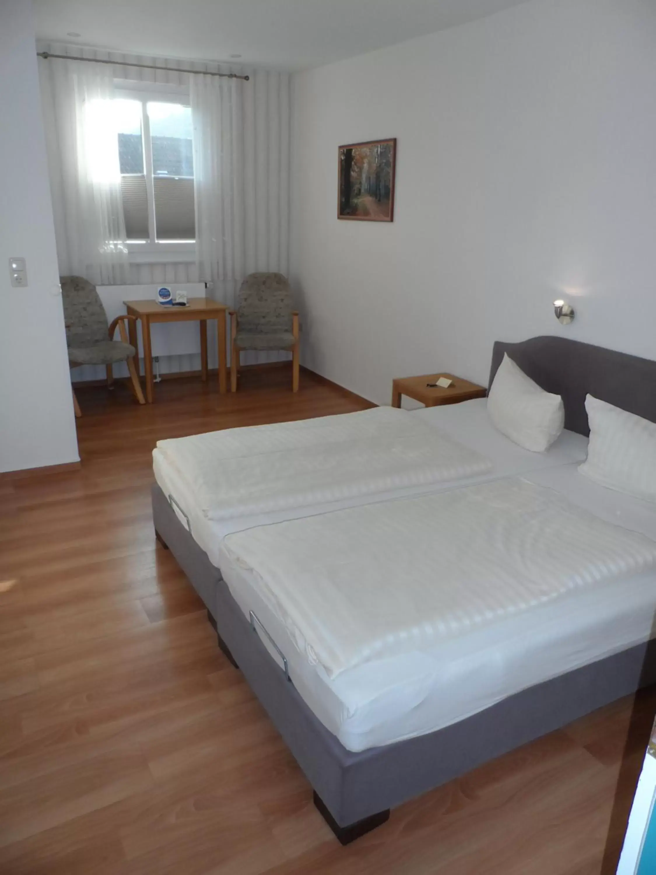 Double Room in Hotel Waldquelle Double Room in Hotel Waldquelle