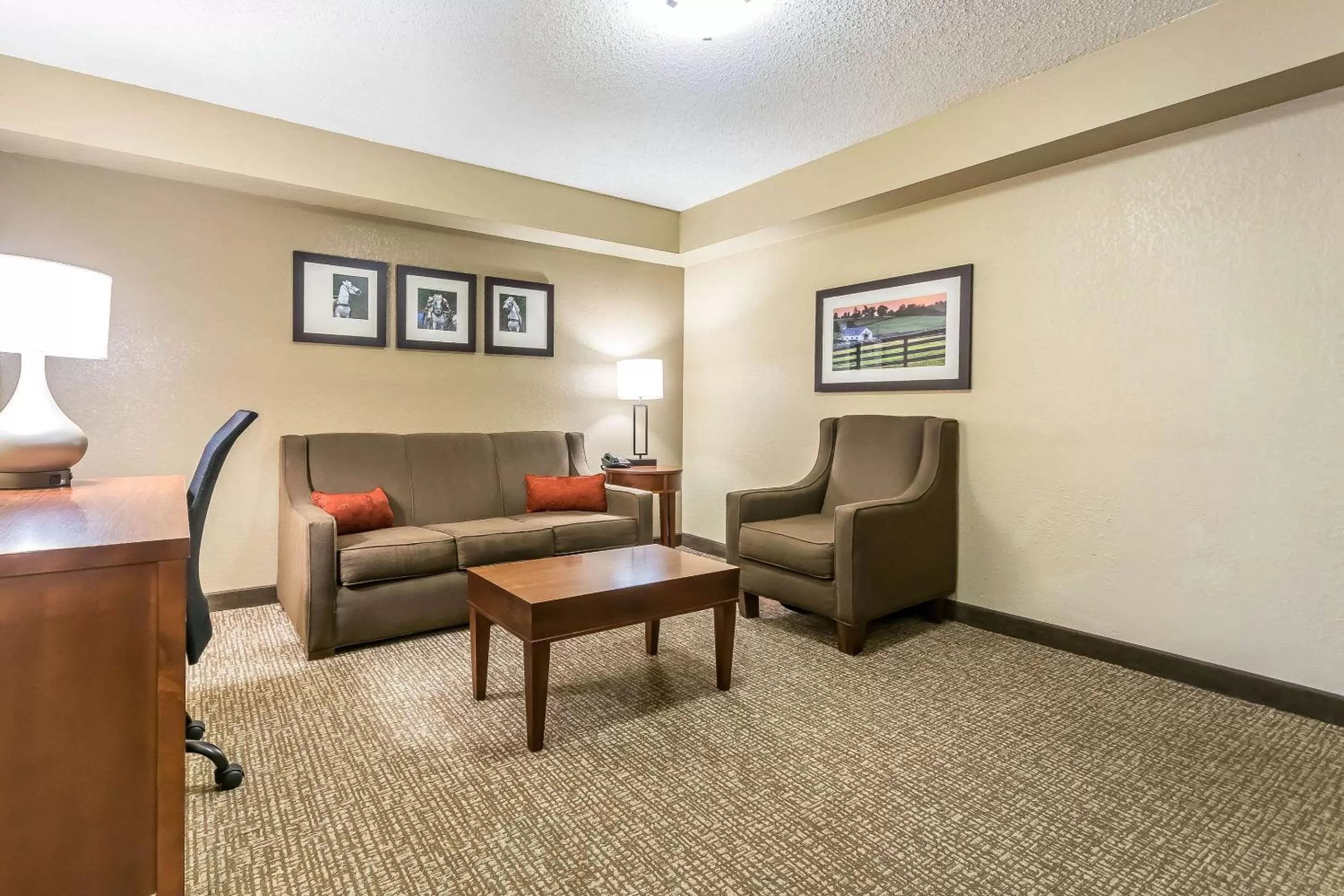 Photo of the whole room in Comfort Inn & Suites Lexington - Hamburg I-75