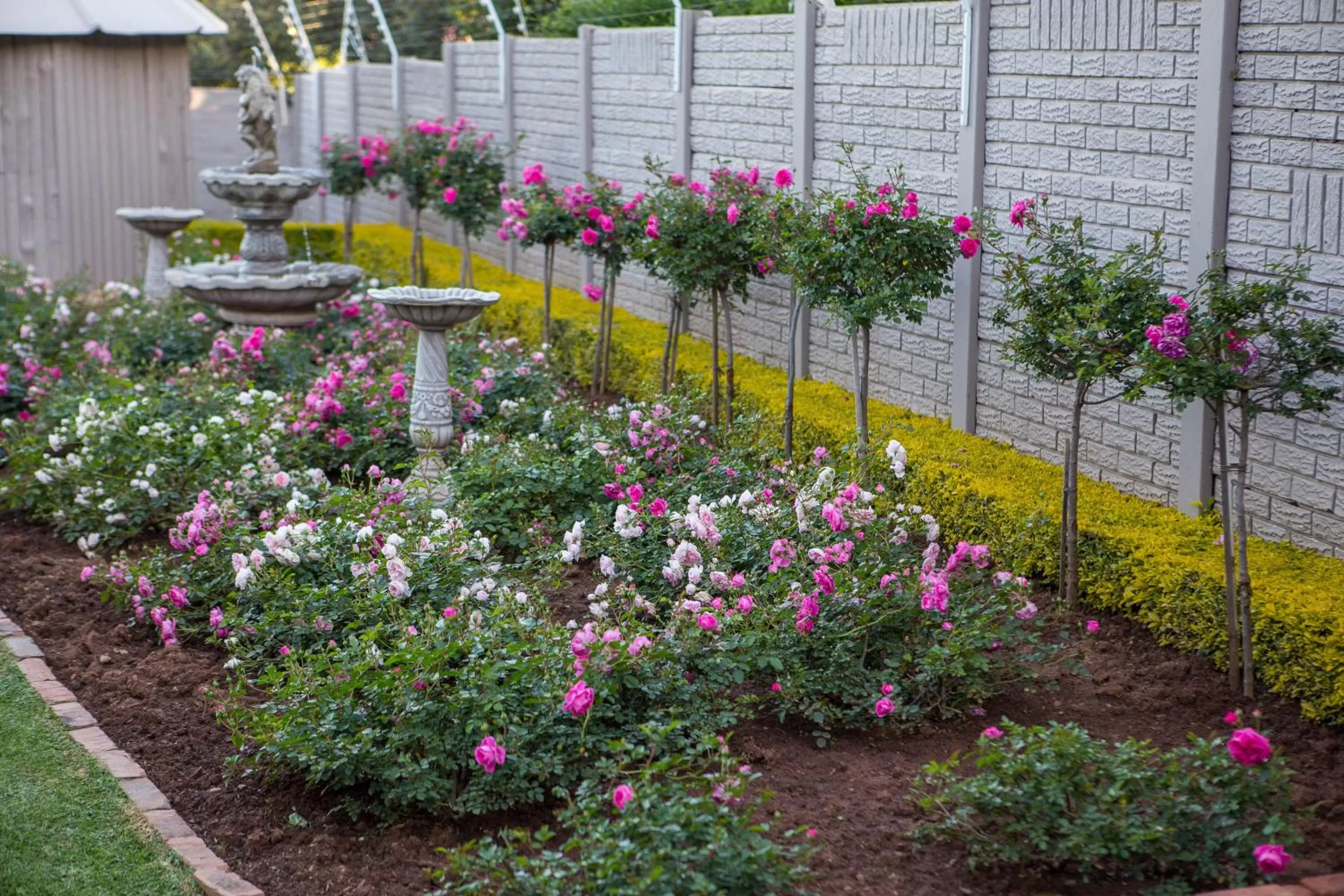 Garden view, Garden in La Vida Luka - Luxury Guesthouse