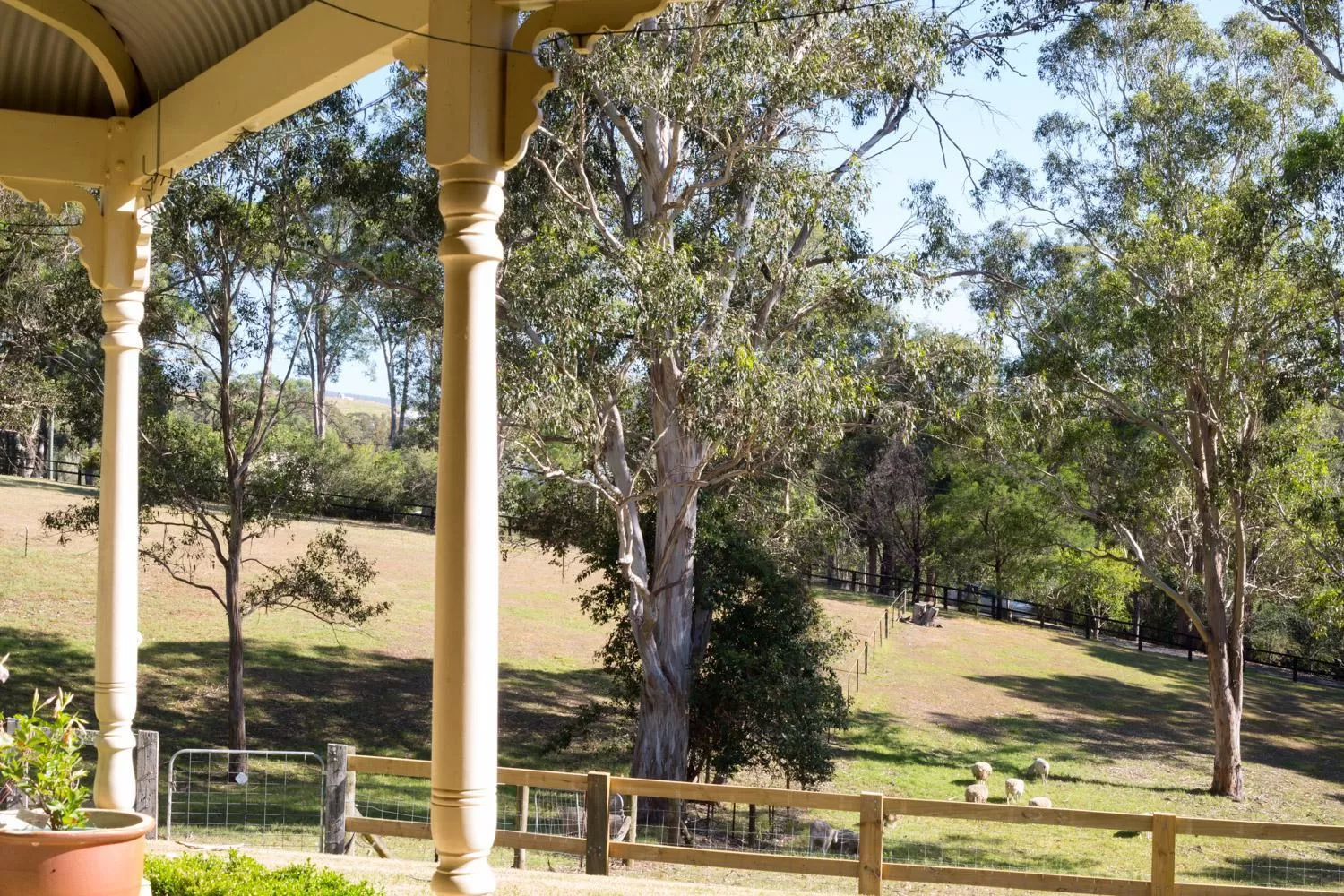 The Willows at Kurrajong