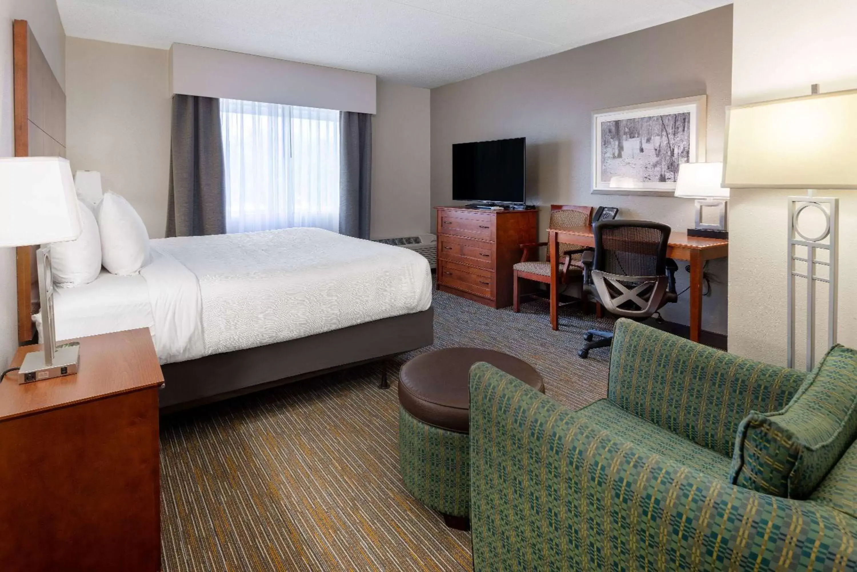 King Suite with City View - Mobility Access/Non-Smoking in Wingate by Wyndham Valdosta/Moody AFB King Suite with City View - Mobility Access/Non-Smoking in Wingate by Wyndham Valdosta/Moody AFB