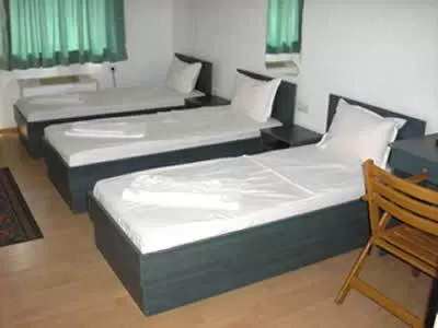 Bed in Hotel Pilevski