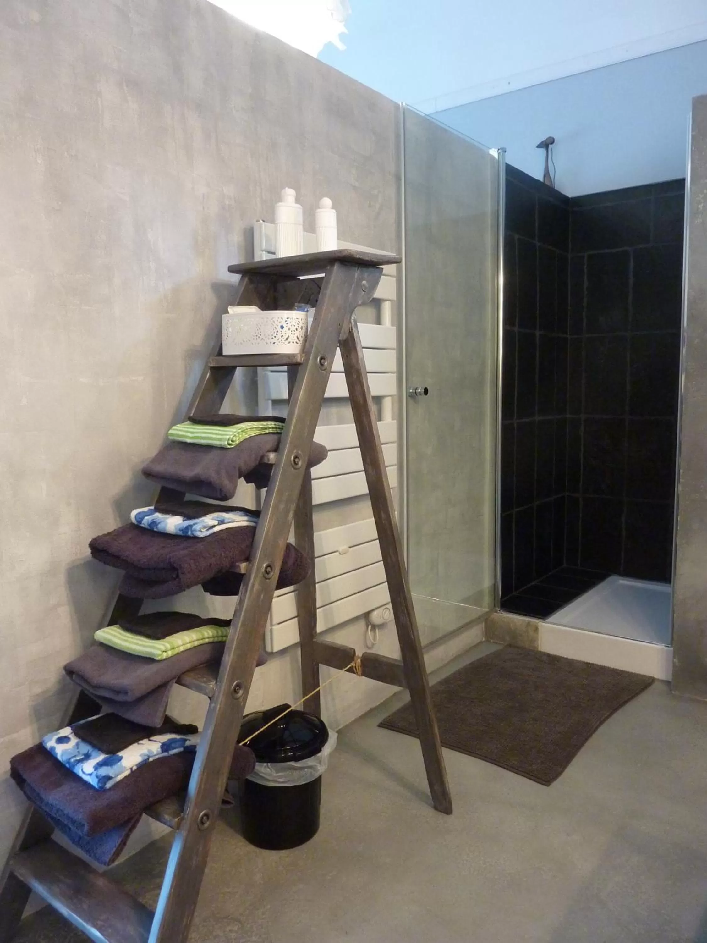Bathroom in Loft Atypique